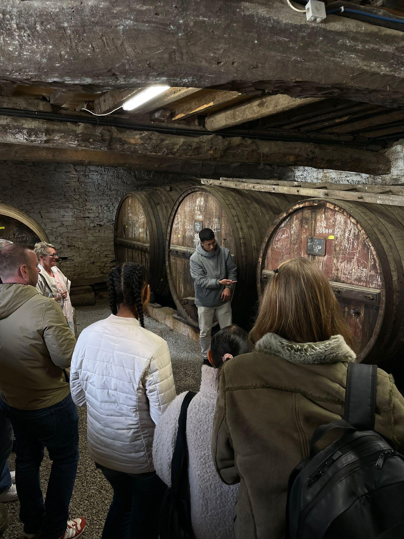 Douro Valley Wine & Cruise Day Trip from Porto