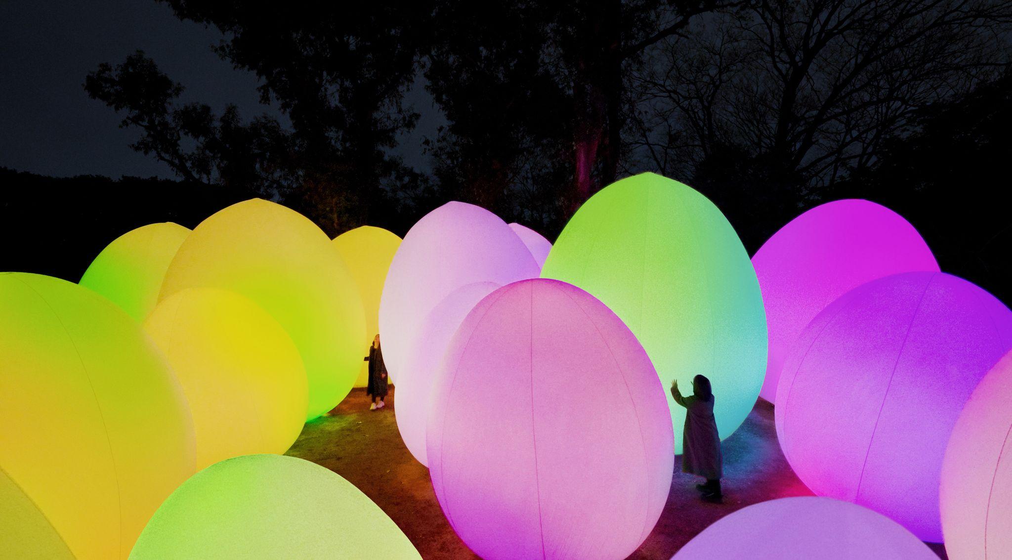 Osaka: teamLab Botanical Garden Night Entry