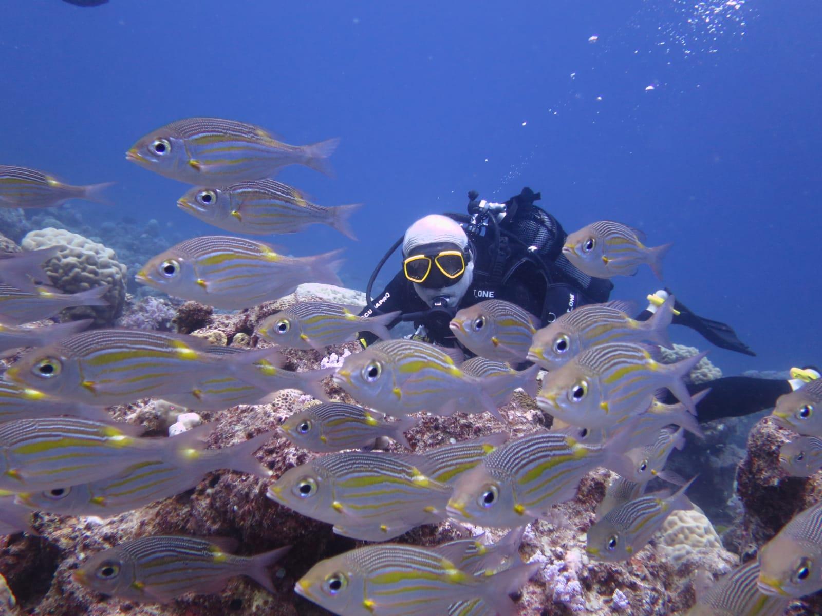 Belle Mare Scuba Discovery: East Coast Mauritius Dive
