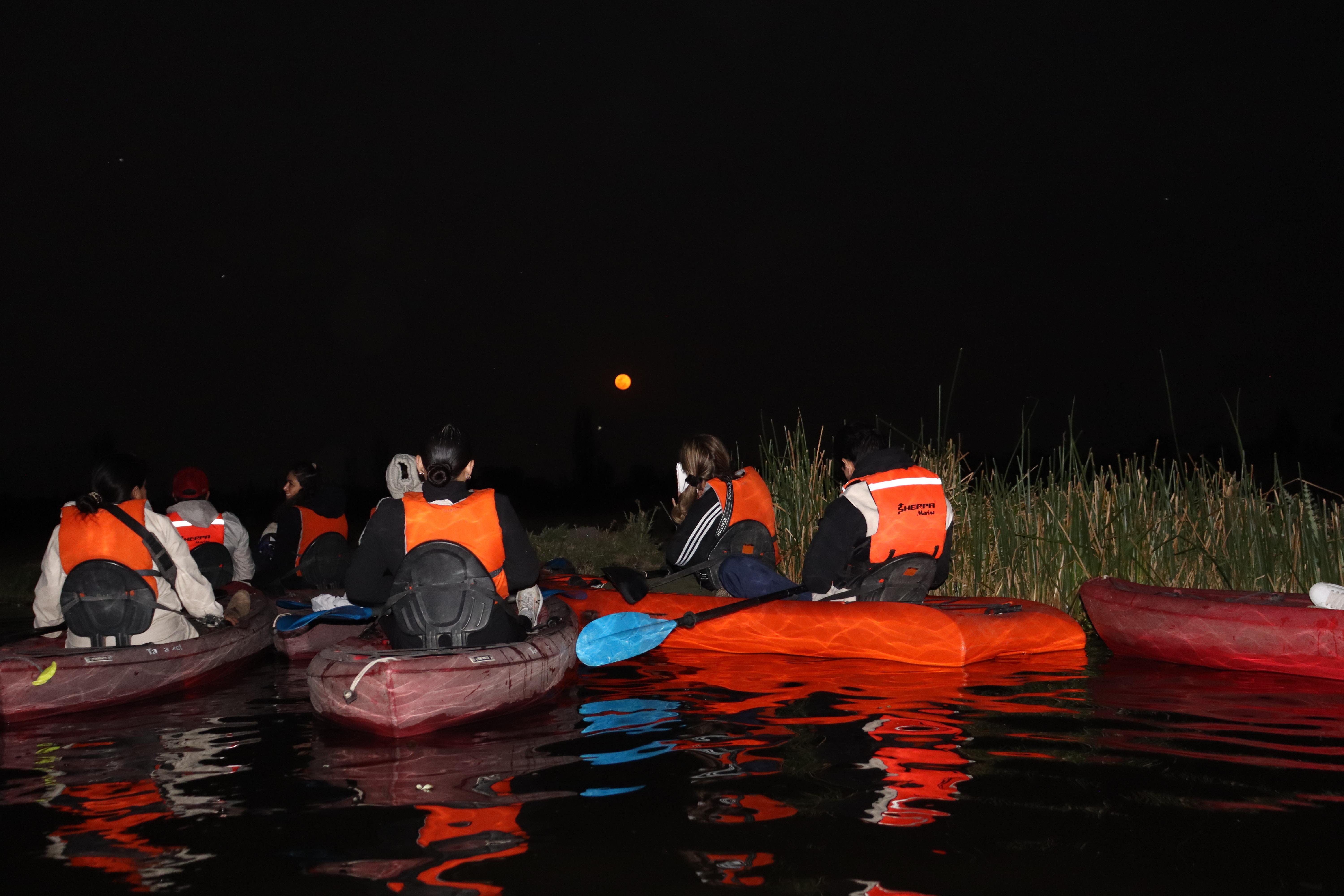Xochimilco Hidden Canals Kayak Adventure
