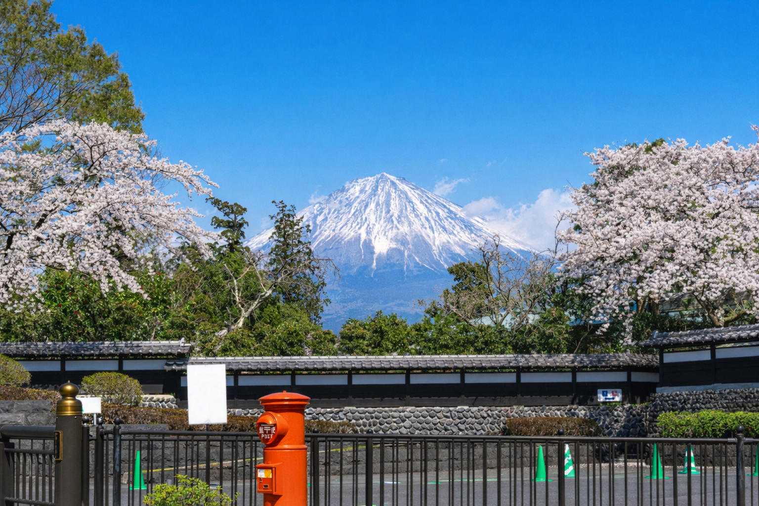 Private Mt. Fuji Day Tour from Tokyo
