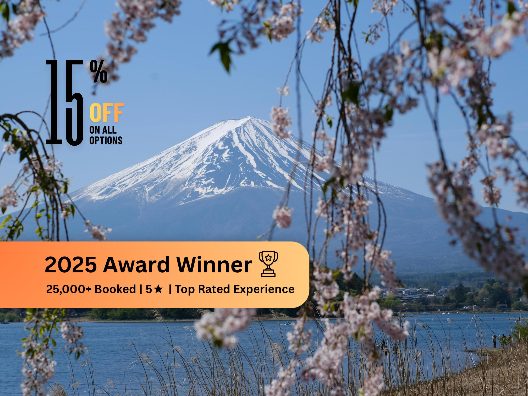 Private Mt. Fuji & Hakone Day Tour from Tokyo with English-Speaking Chauffeur
