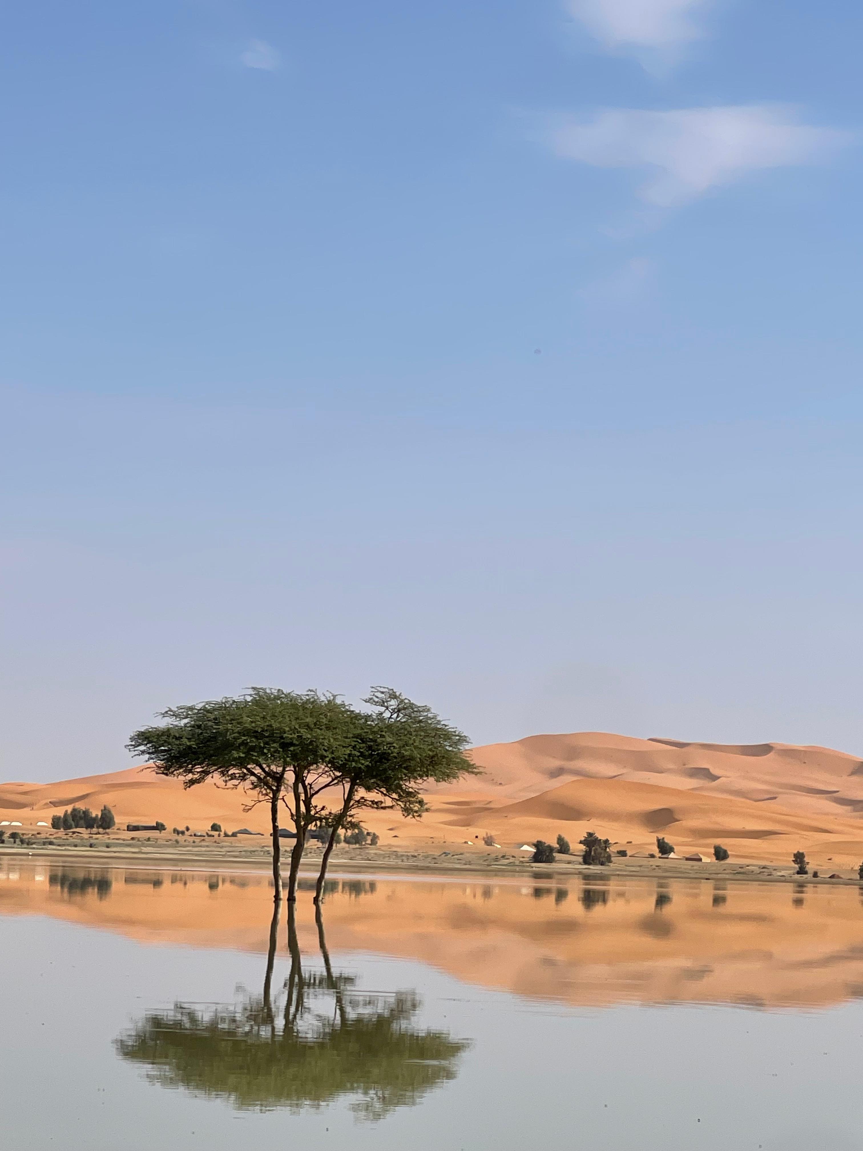 Merzouga Sahara Quad Bike Safari & Sandboarding