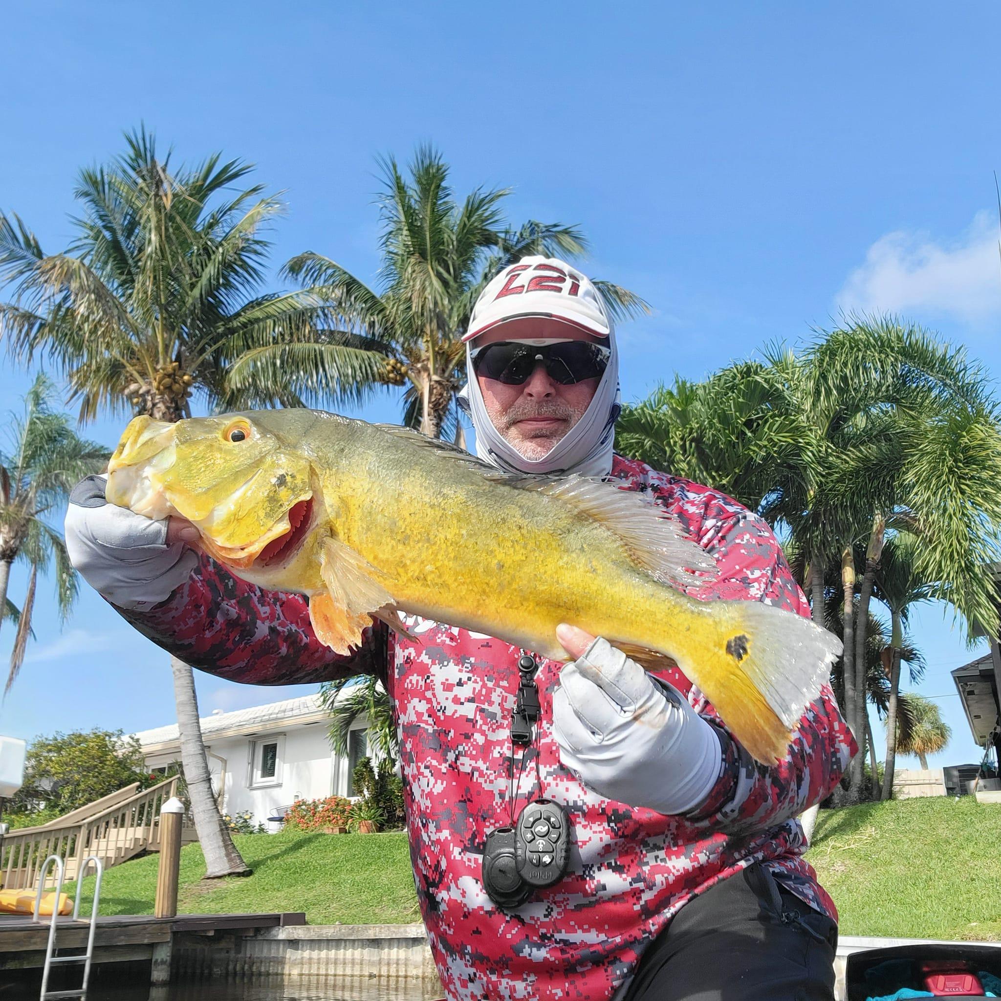 Everglades Private Bass Fishing Charter from Fort Lauderdale