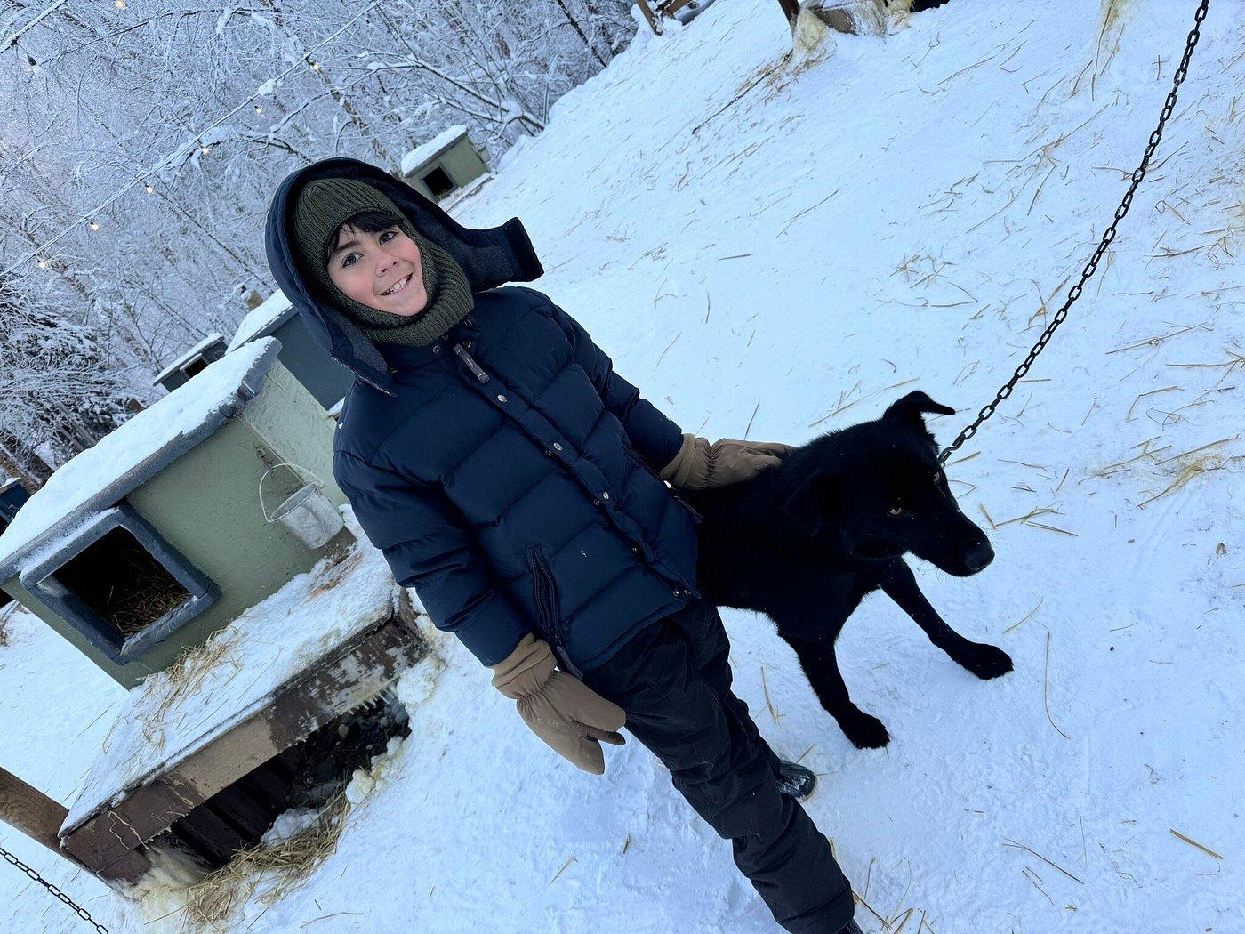 dog sledding in Anchorage — photo 7