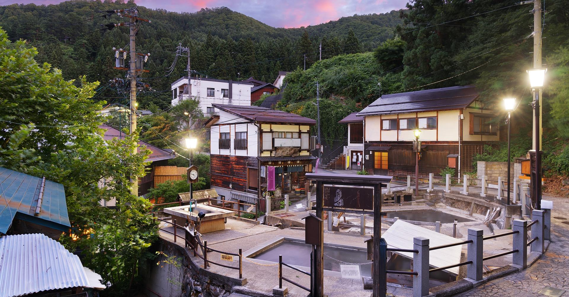 Nagano Snow Monkey & Zenkoji Temple Private Day Tour from Tokyo