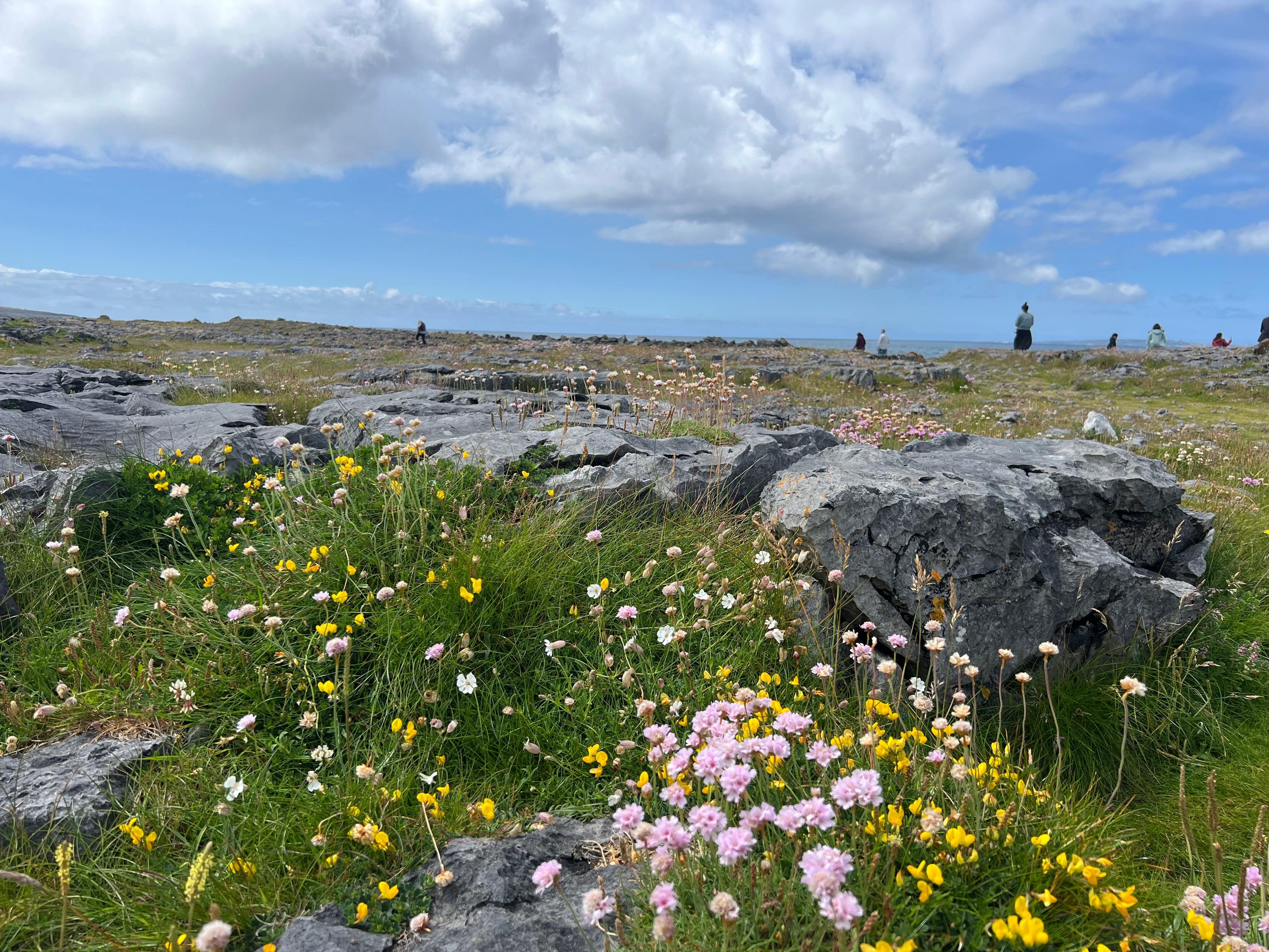 Dublin to Cliffs of Moher, Burren & Galway Full-Day Tour