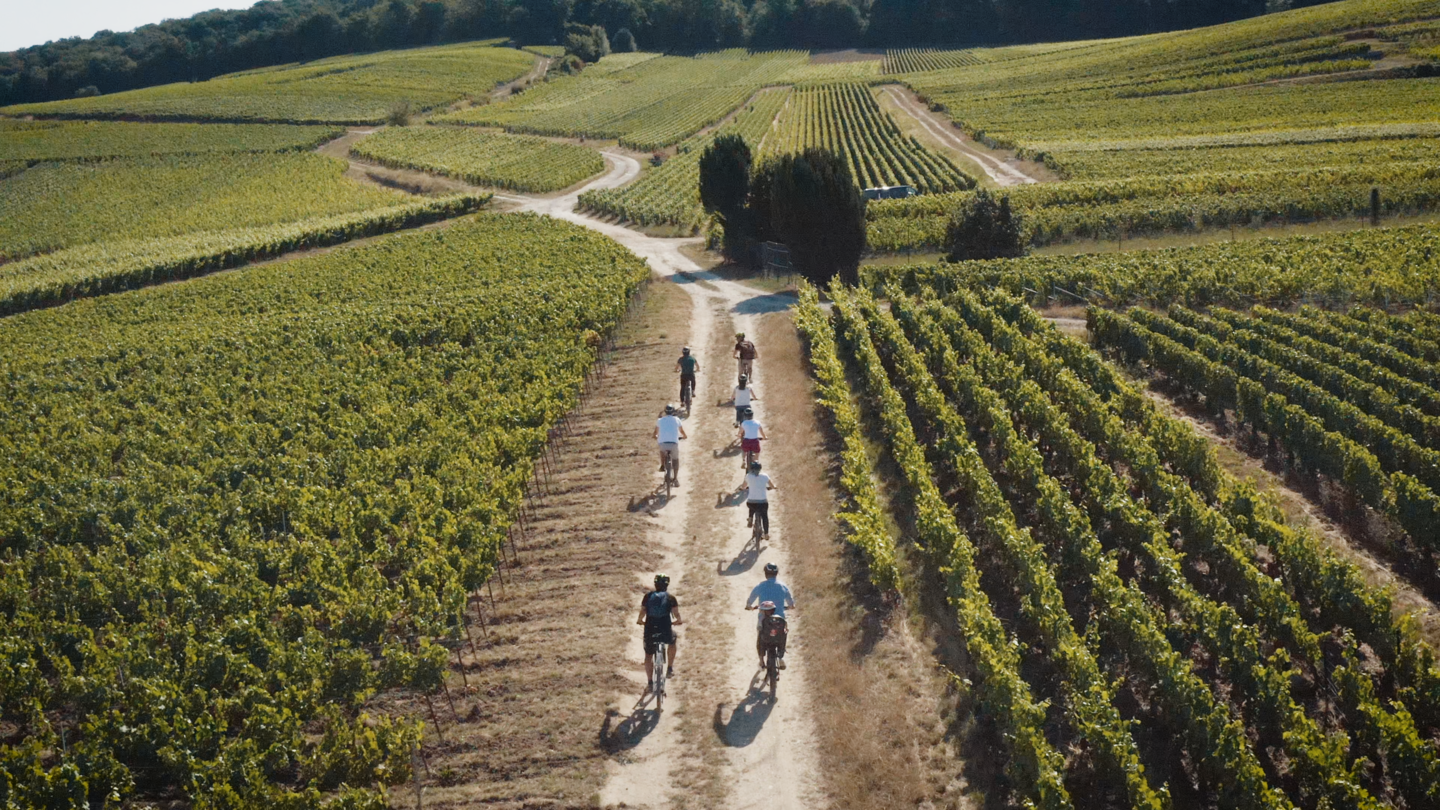 Reims Guided E-Bike Tour through Champagne Vineyards & Cellars