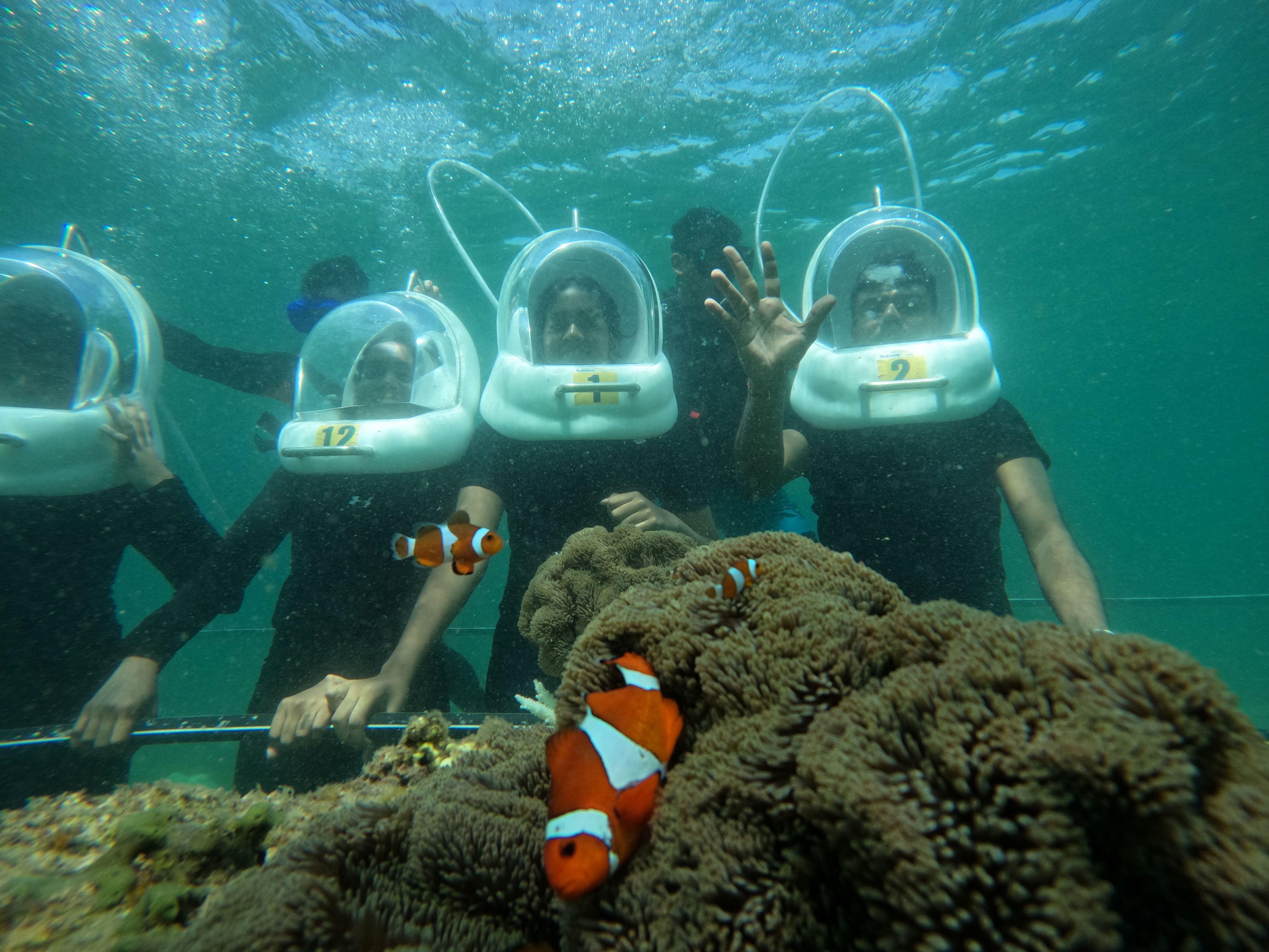 Manukan & Sapi Island Seawalking Adventure