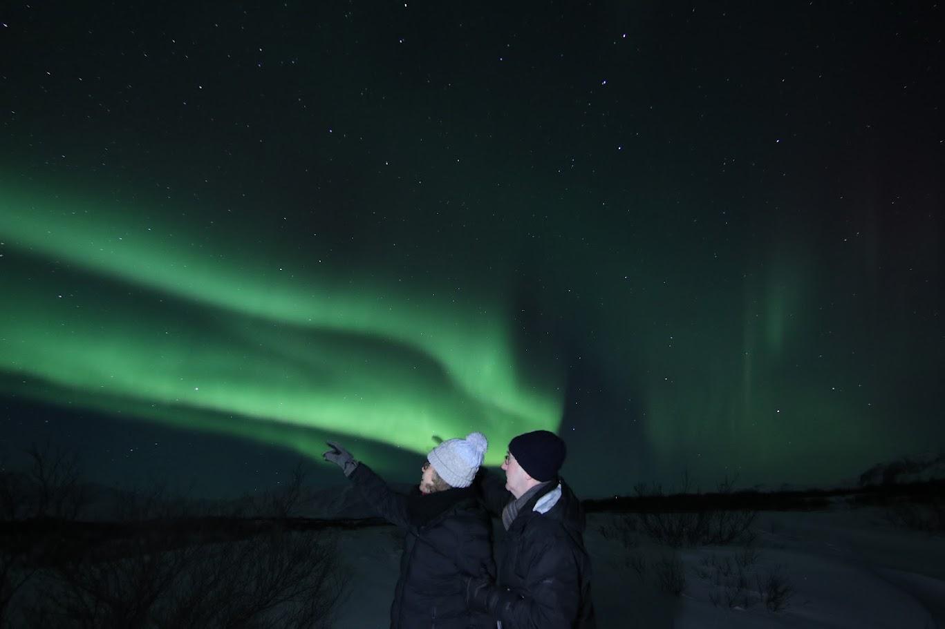 Reykjavik Northern Lights Minibus Hunt with Hot Cocoa