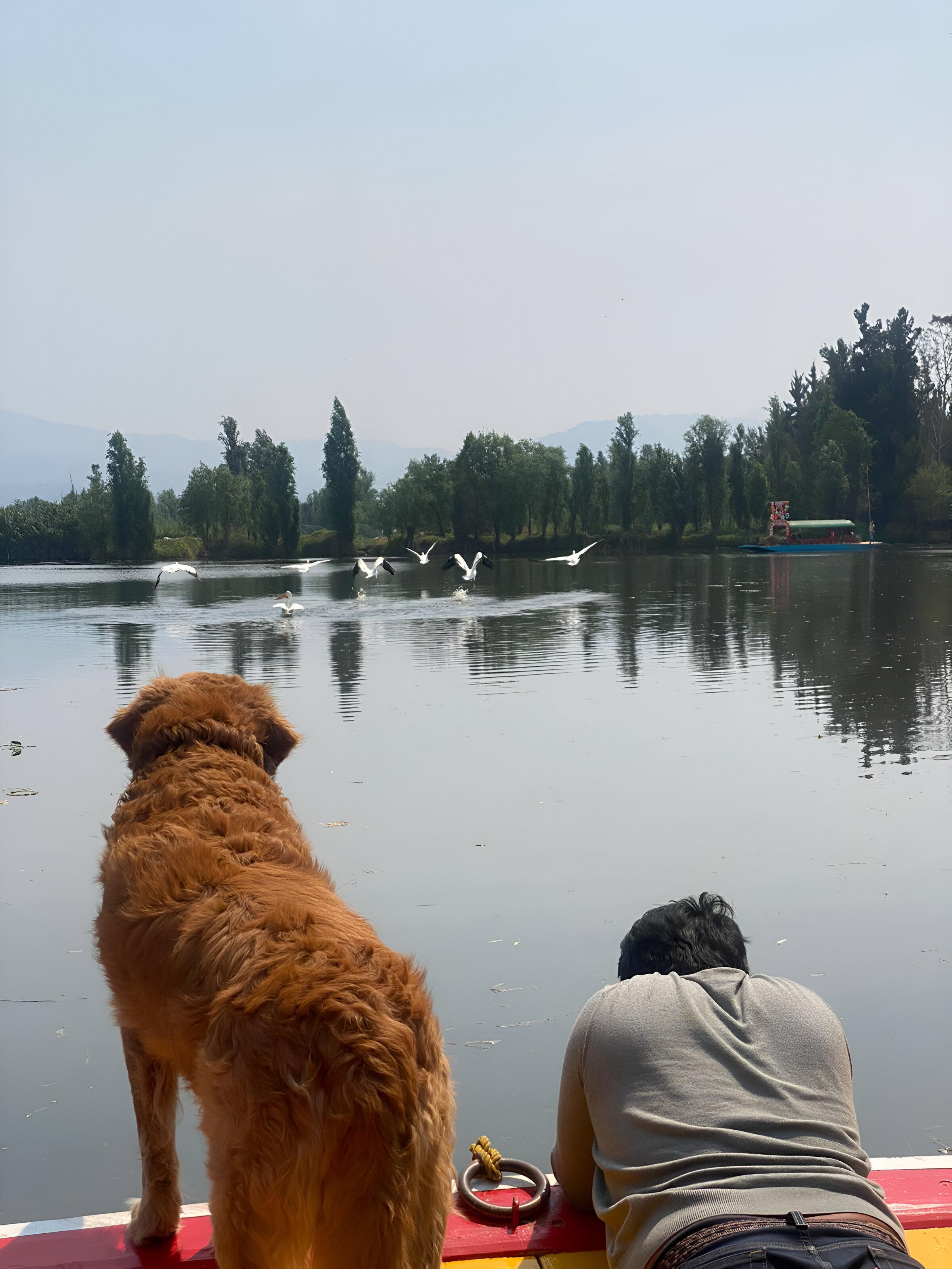 Xochimilco Ecological Boat Escape