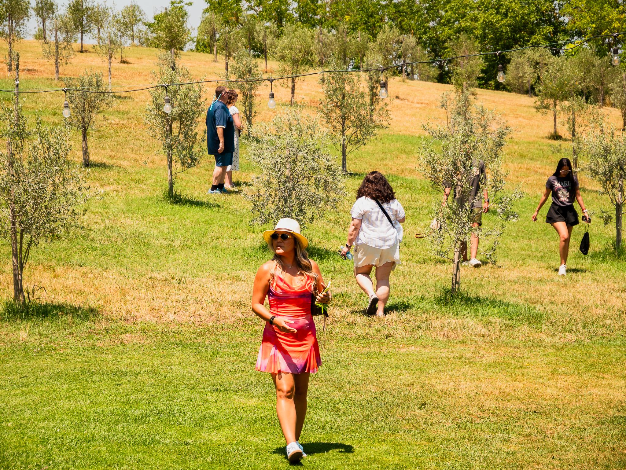 Florence: Pisa, Siena & San Gimignano with Optional Lunch