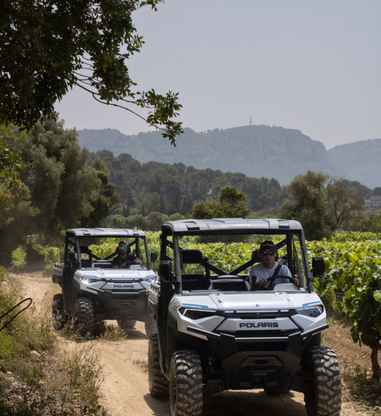Electric Buggy Wine Tour Through Cassis Vineyards