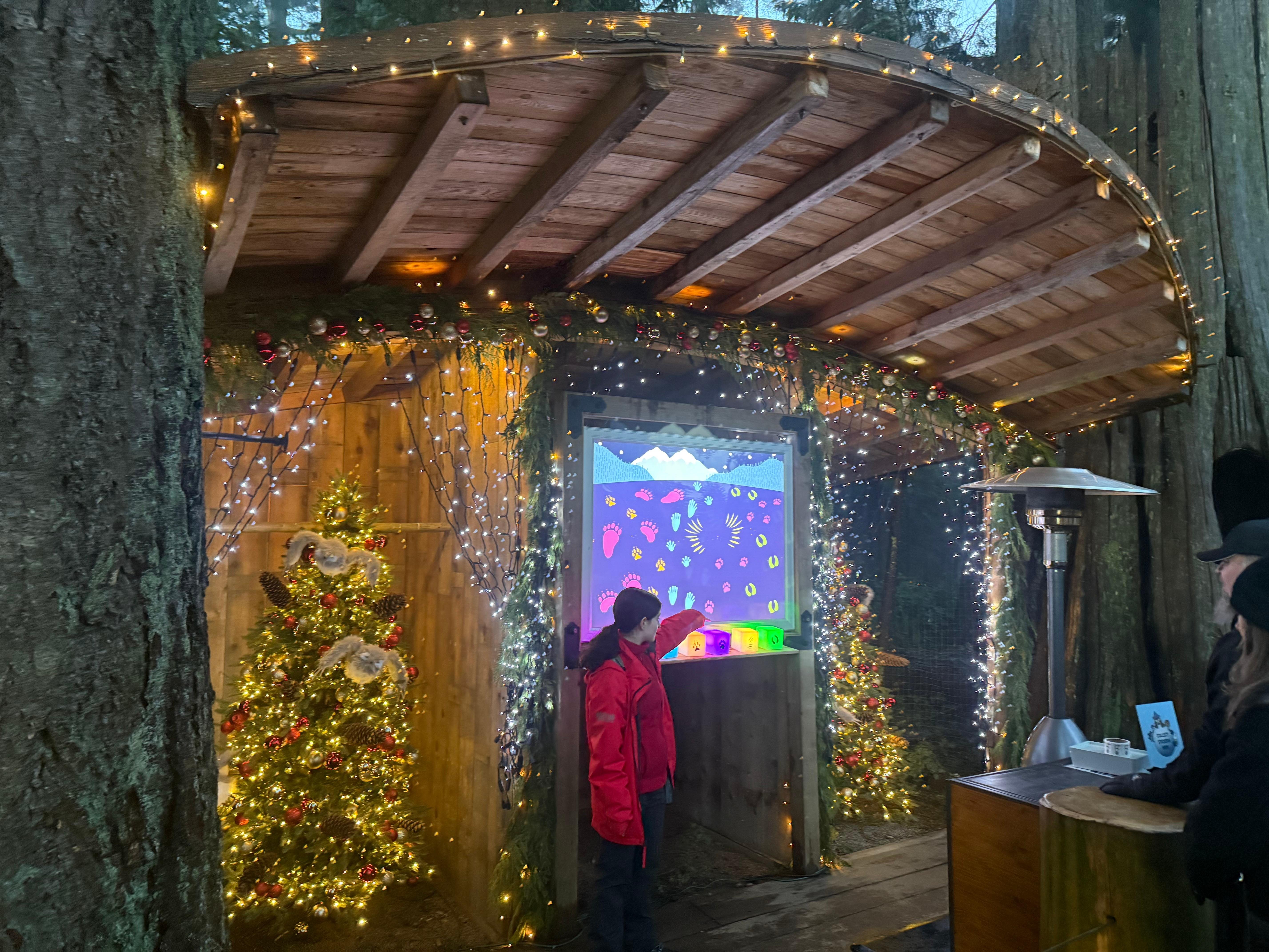Capilano Suspension Bridge & Stanley Park Small Group Tour