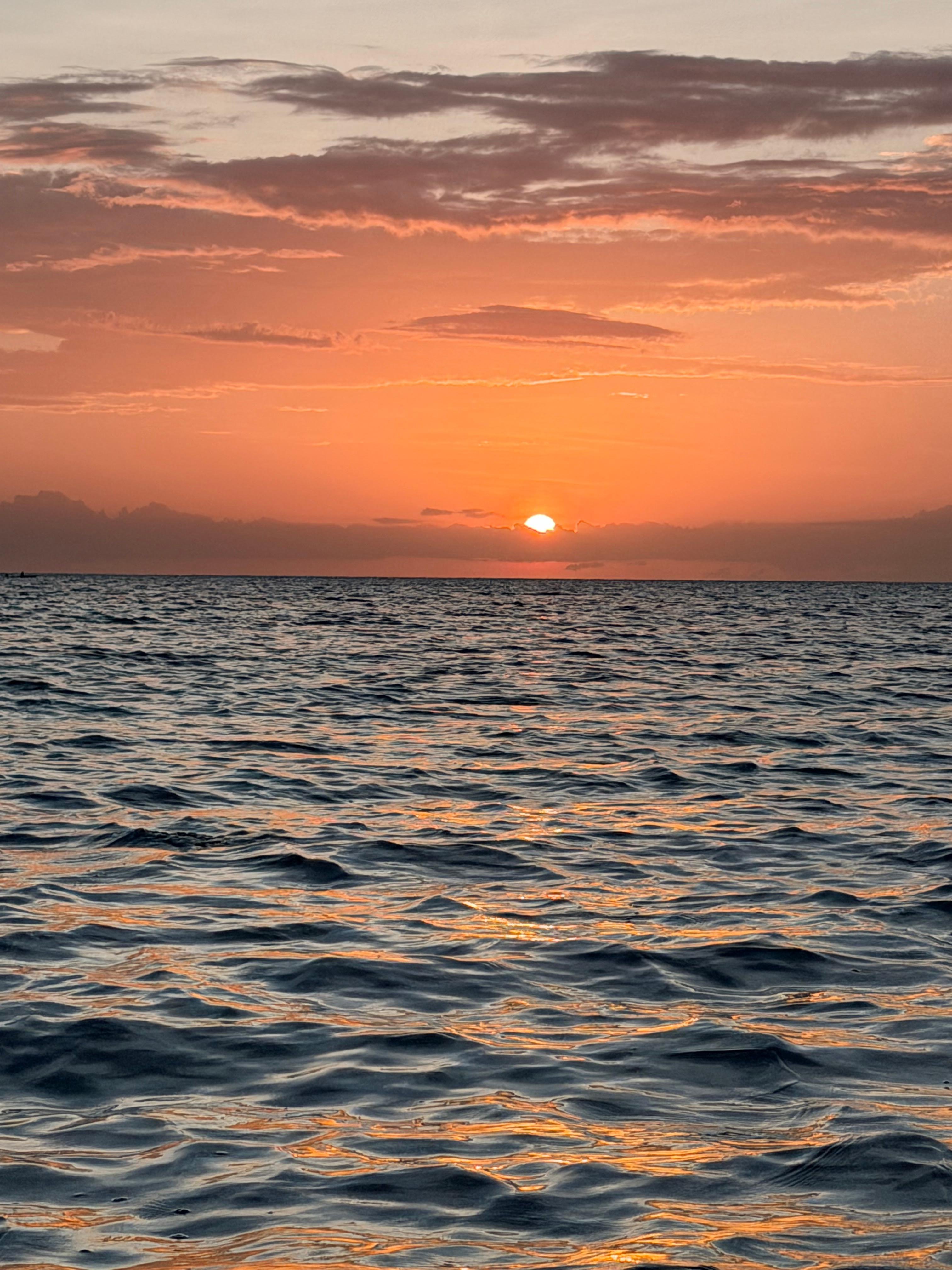 Zanzibar Sunset Dolphin Swim & Mnemba Island Snorkel Tour
