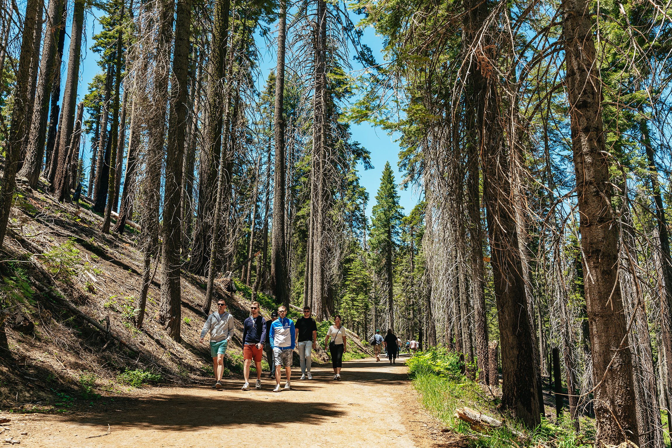 Yosemite National Park granite cliffs and waterfalls seen on a day trip from San Francisco — image 3