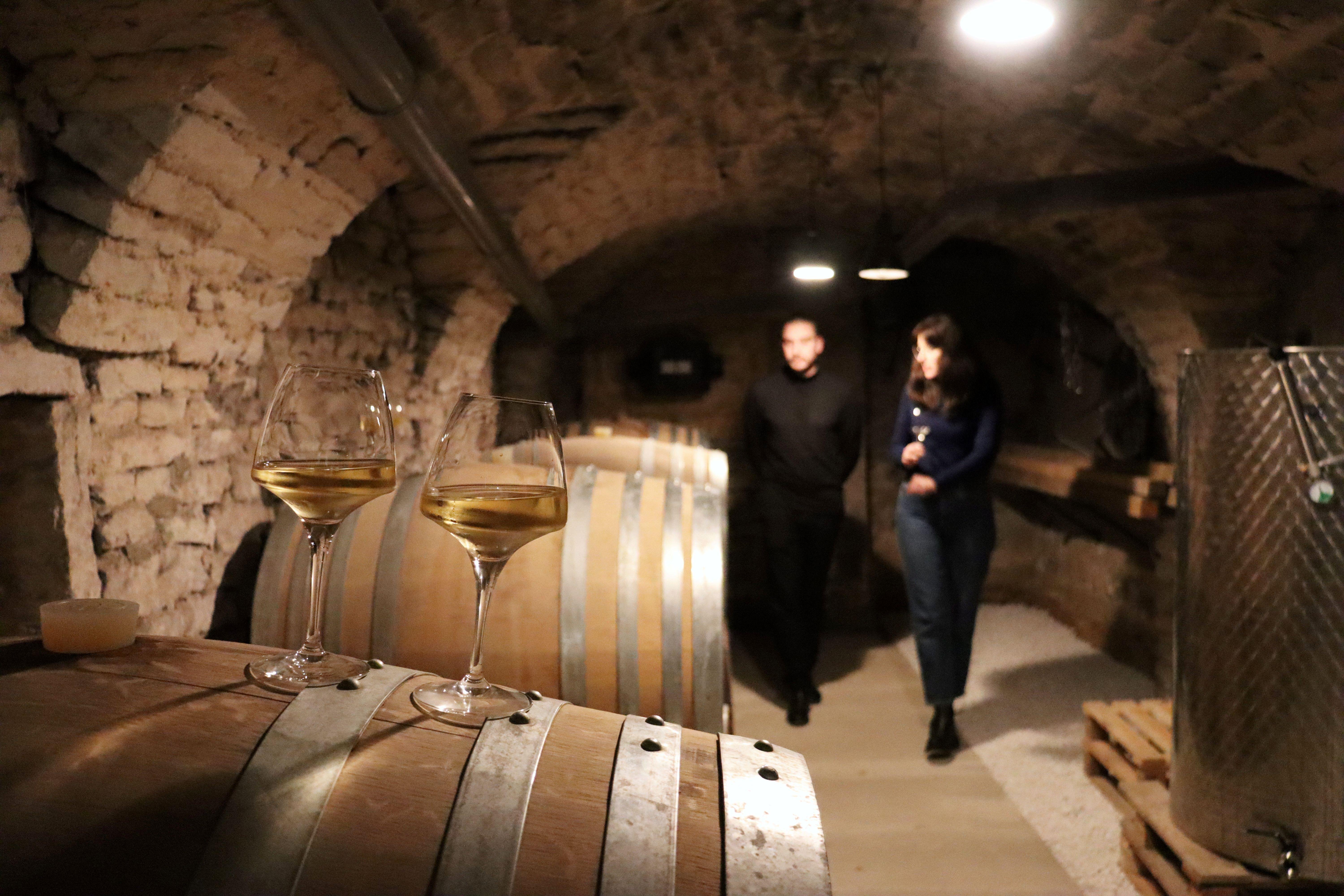 Burgundy Wine Discovery Tasting in Historic Dijon Cellar