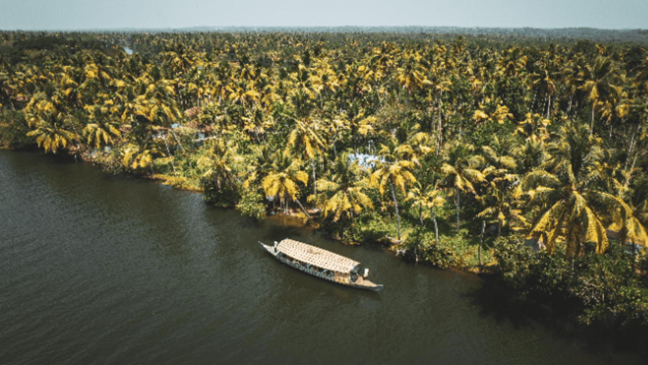 Kochi Backwater Village Immersion with Traditional Sadya Lunch