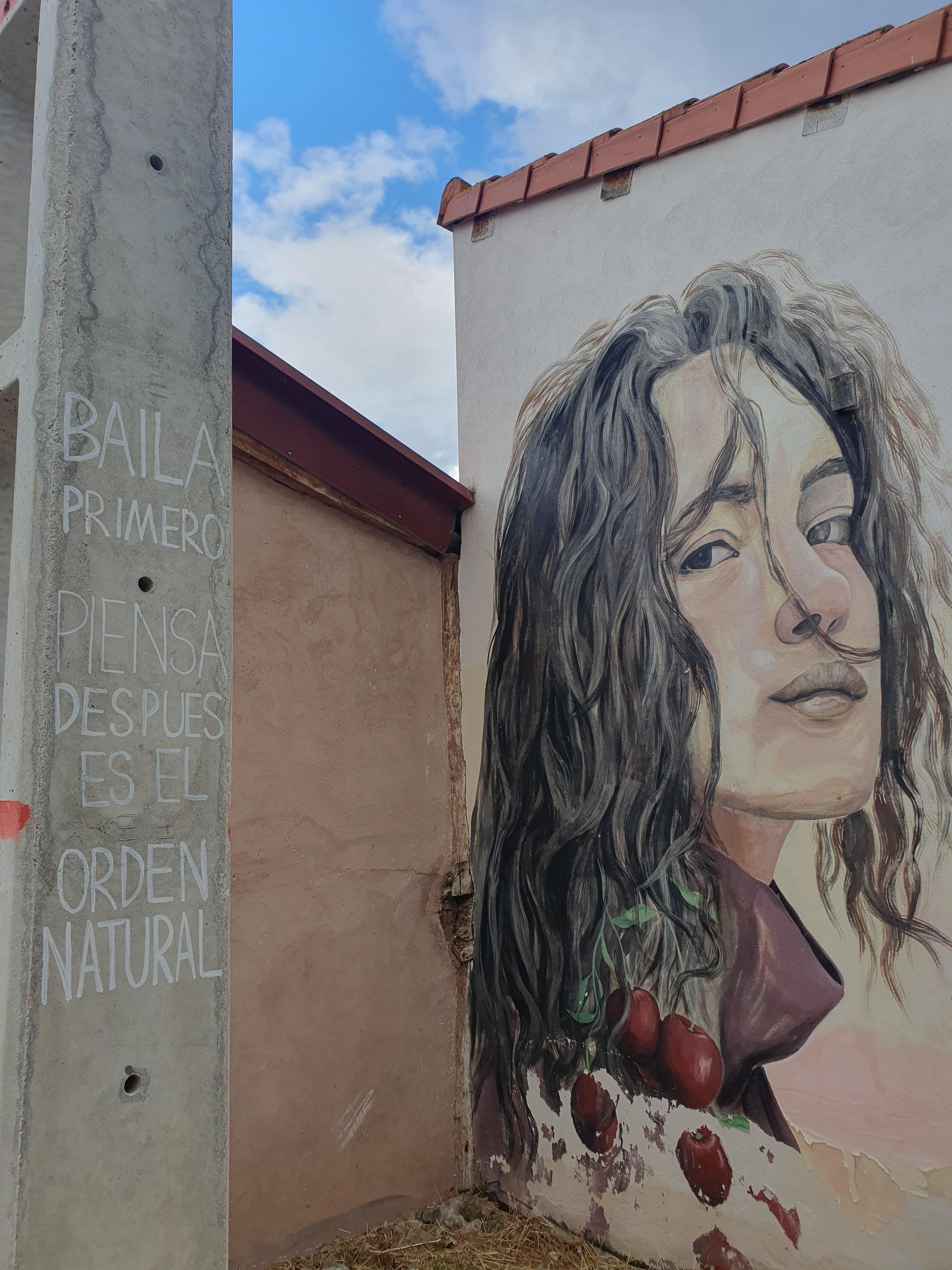 Secret Rioja: Street Art, Panoramas & Food Tasting – Private Tour