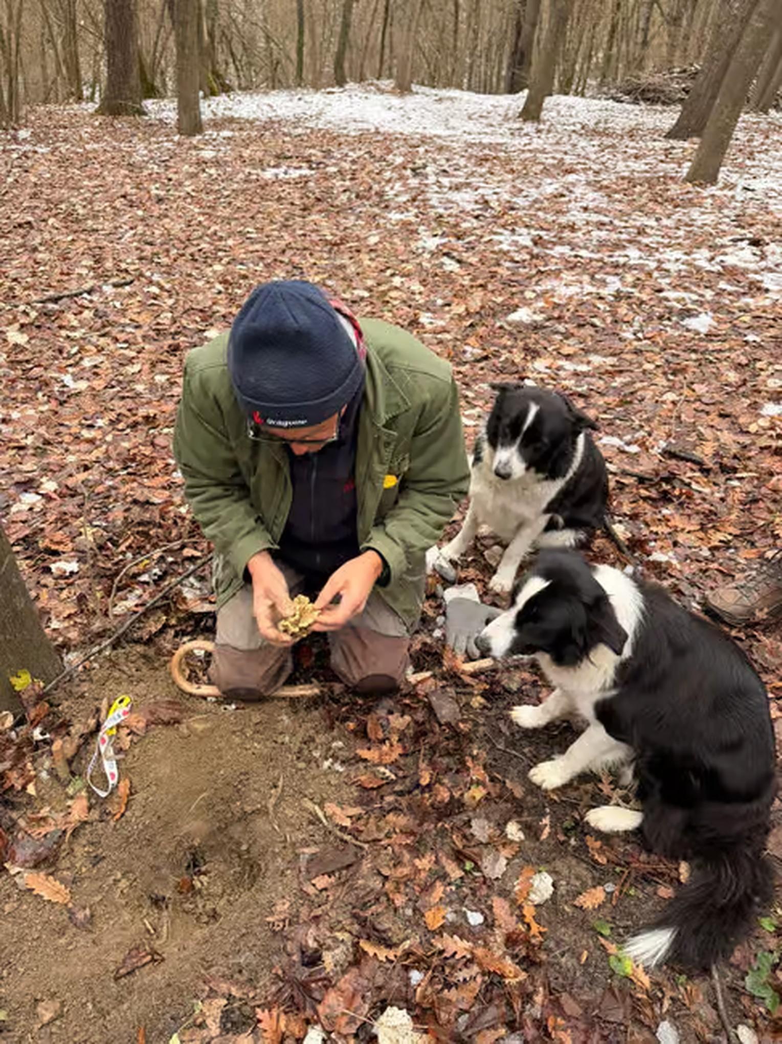 Alba Truffle Hunt with Wine & Cheese Tasting