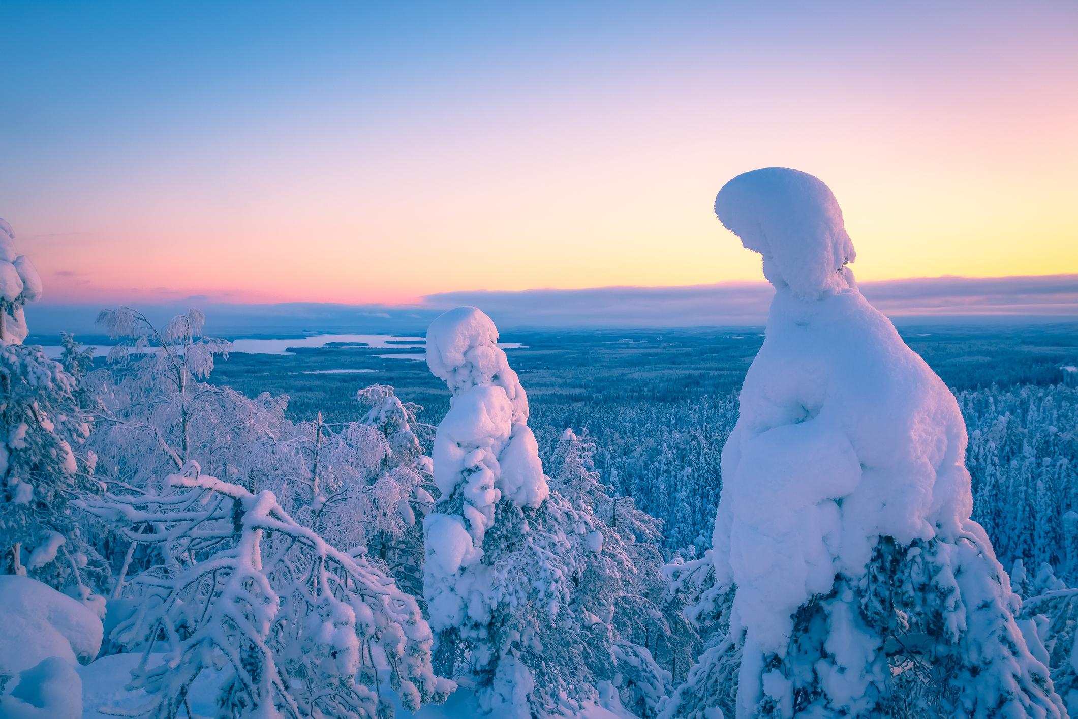 Riisitunturi National Park Winter Expedition