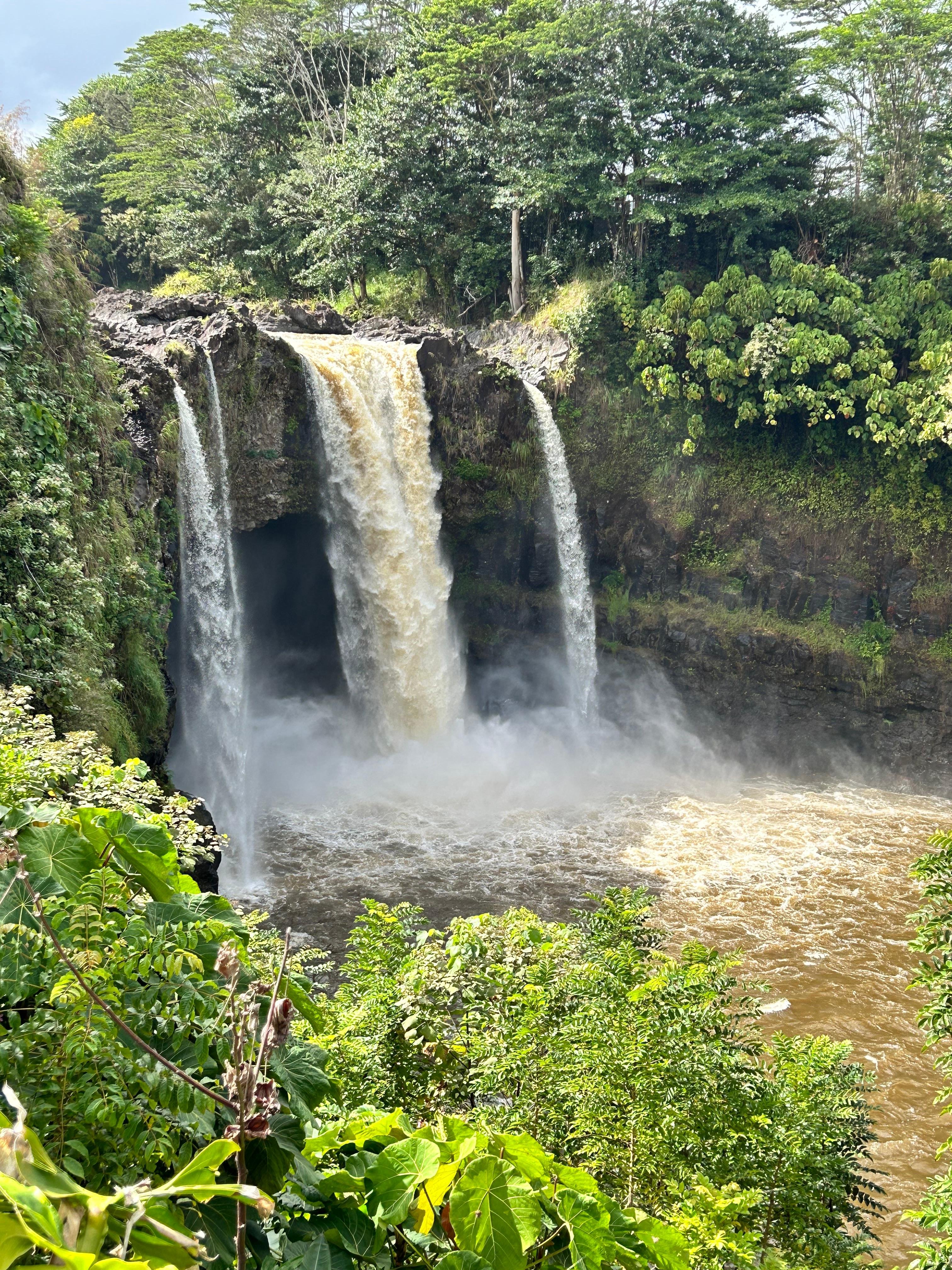 From Hilo: Hawaii Volcanoes National Park Tour — Kilauea and Hawaii Volcanoes National Park scenery (1)
