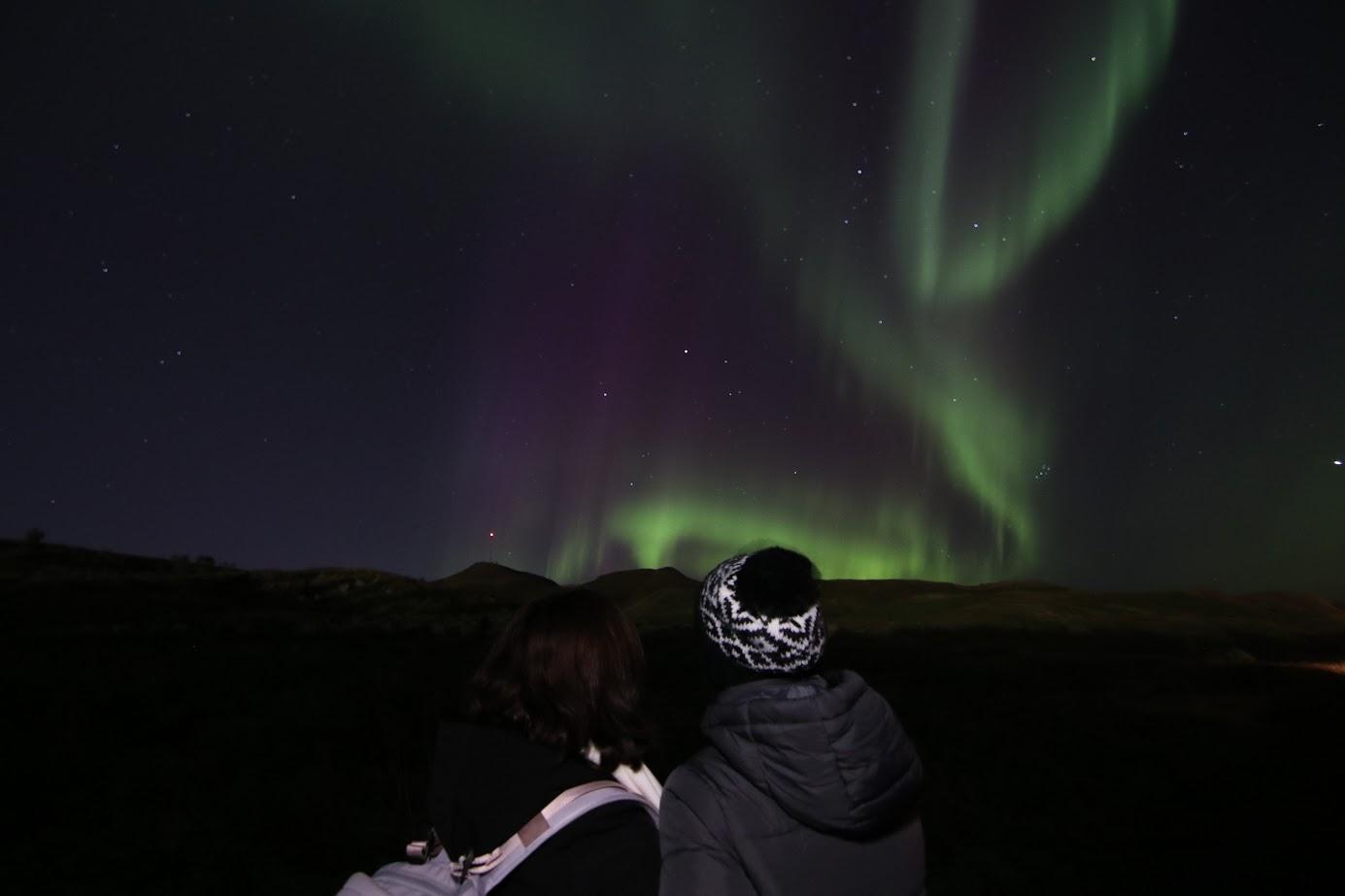 Reykjavik Northern Lights Minibus Hunt with Hot Cocoa