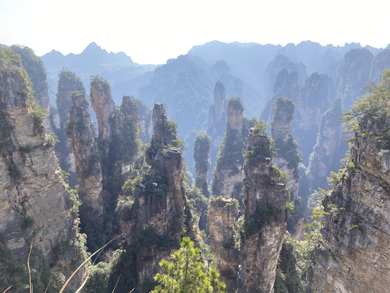 Zhangjiajie National Forest Park: Private Full-Day Tour with Transport