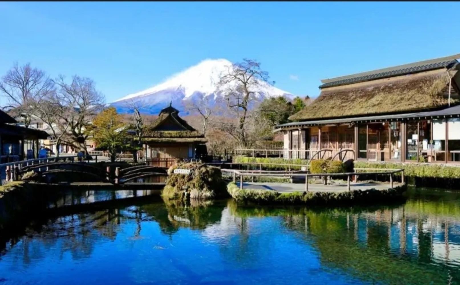Tokyo to Mt. Fuji & Hakone Private Day Tour