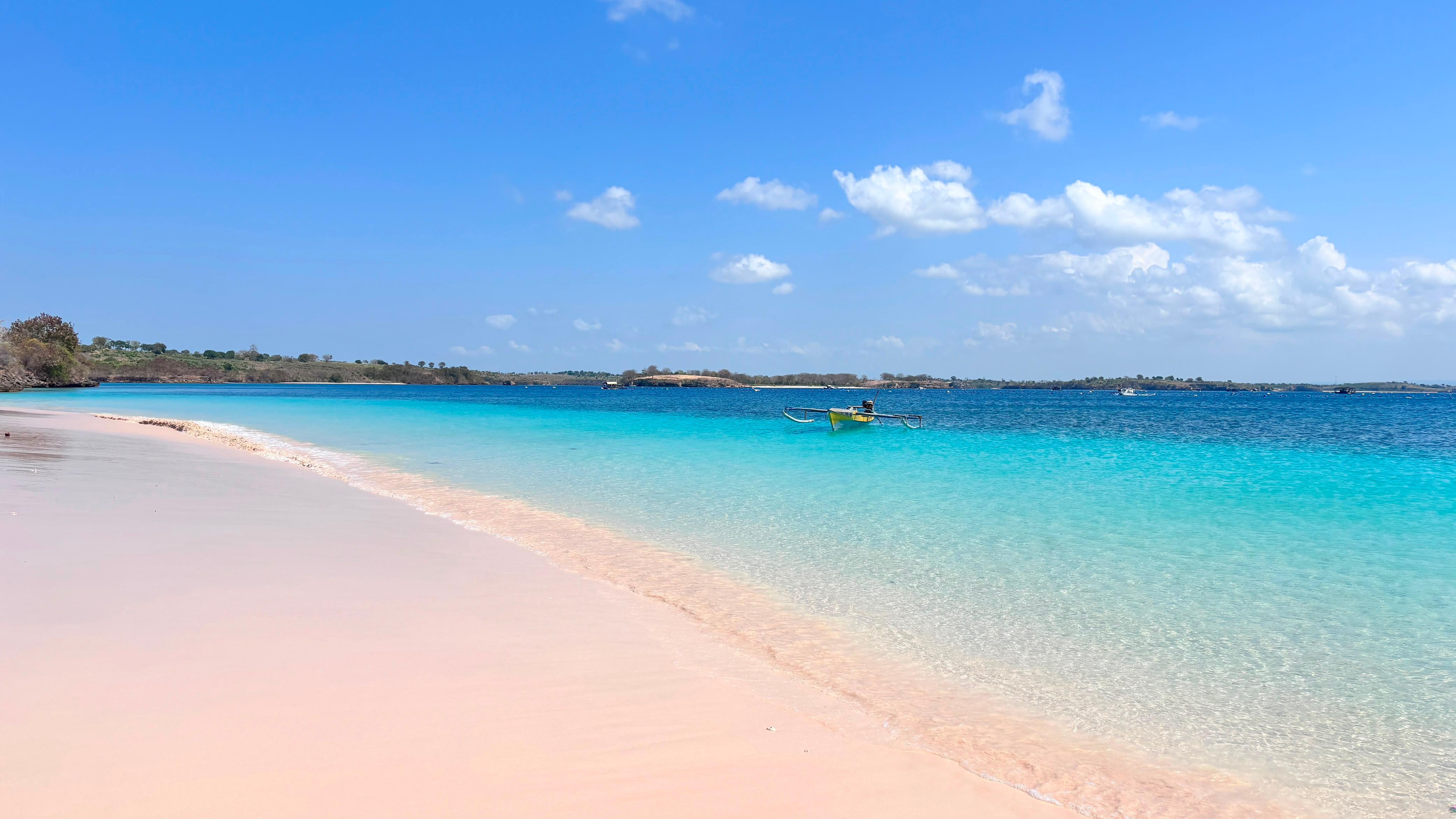 Lombok Pink Beaches, Baby Shark Reef & Private Boat Tour