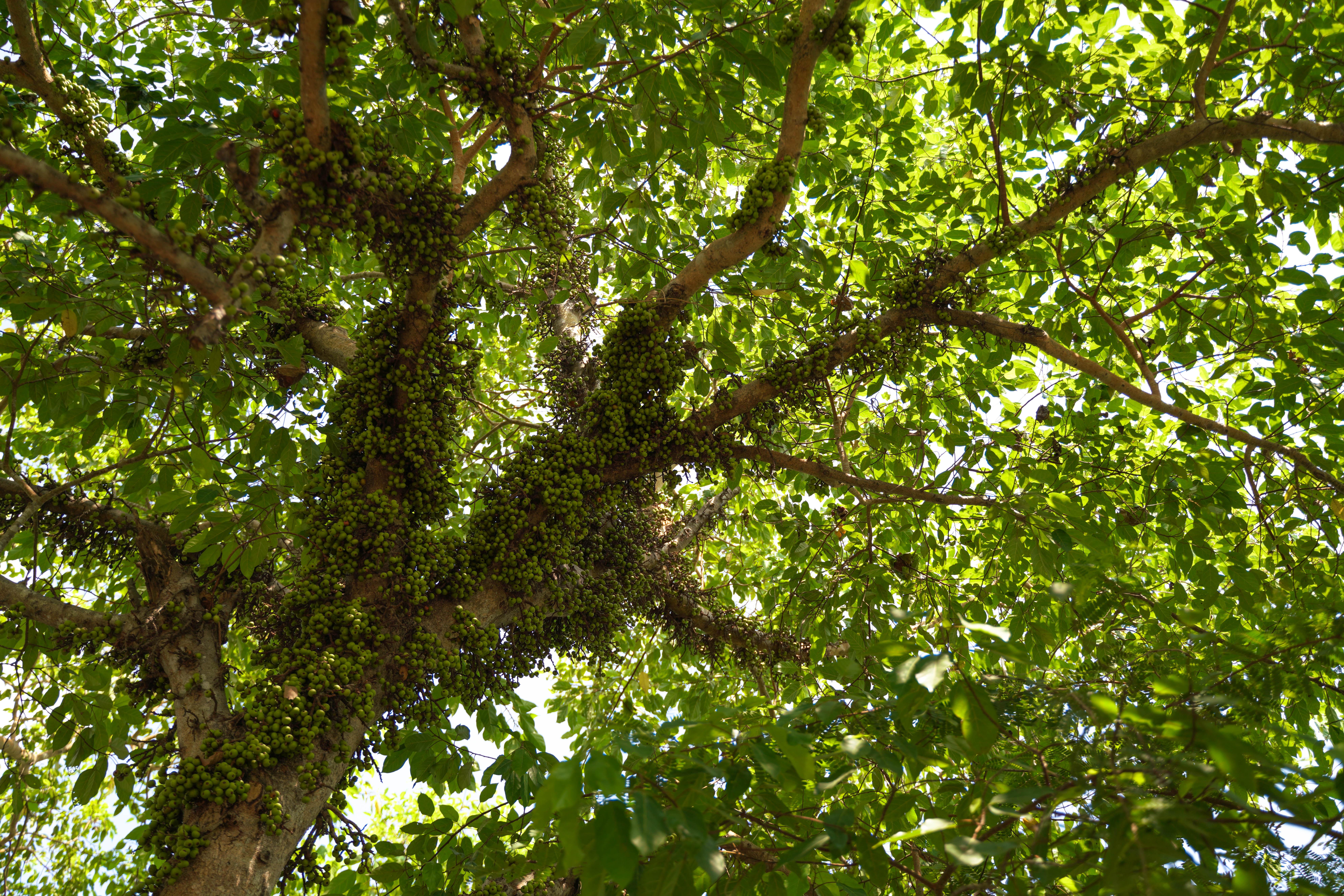3-Day Mekong Delta Expedition: Ho Chi Minh to Phnom Penh