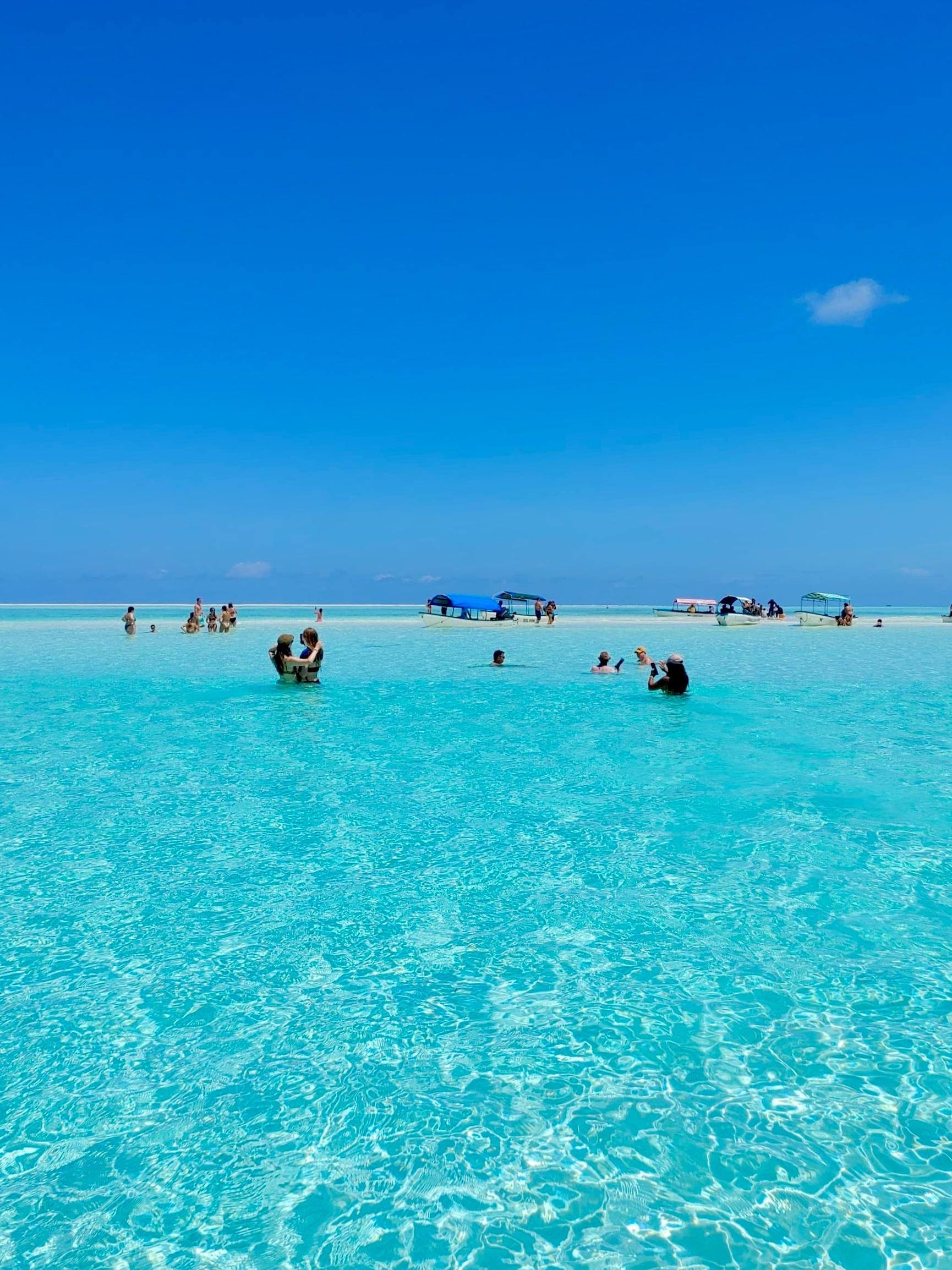 Mnemba Island Dolphin & Snorkel Boat Trip from Matemwe
