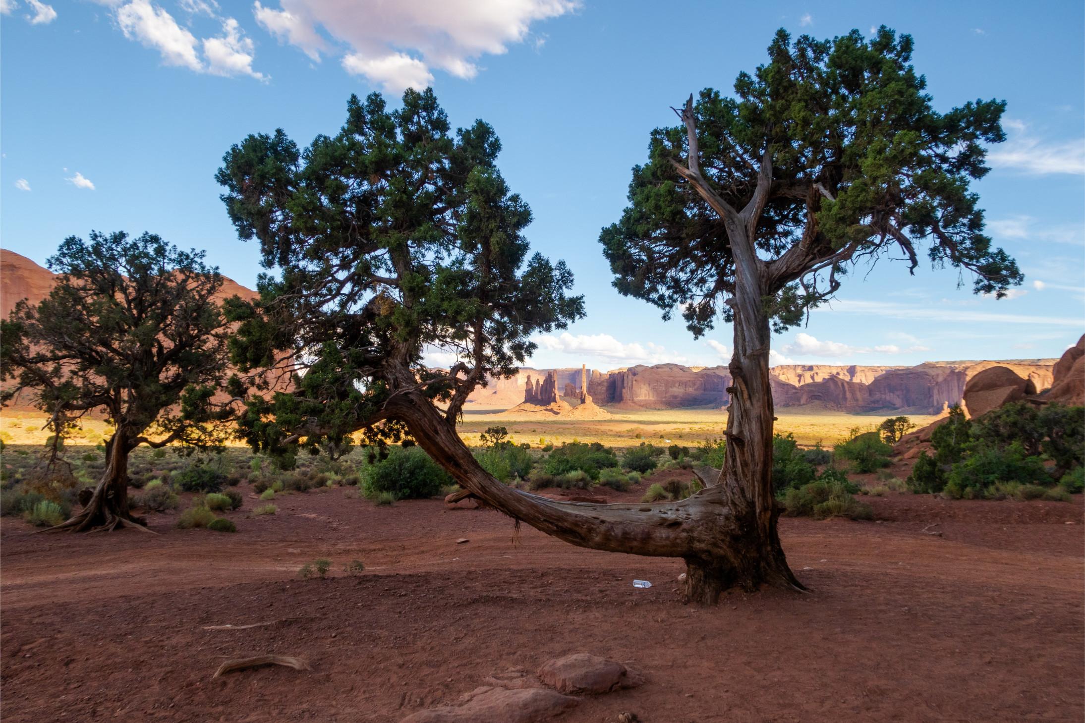 Monument Valley tour from Las Vegas — image 51