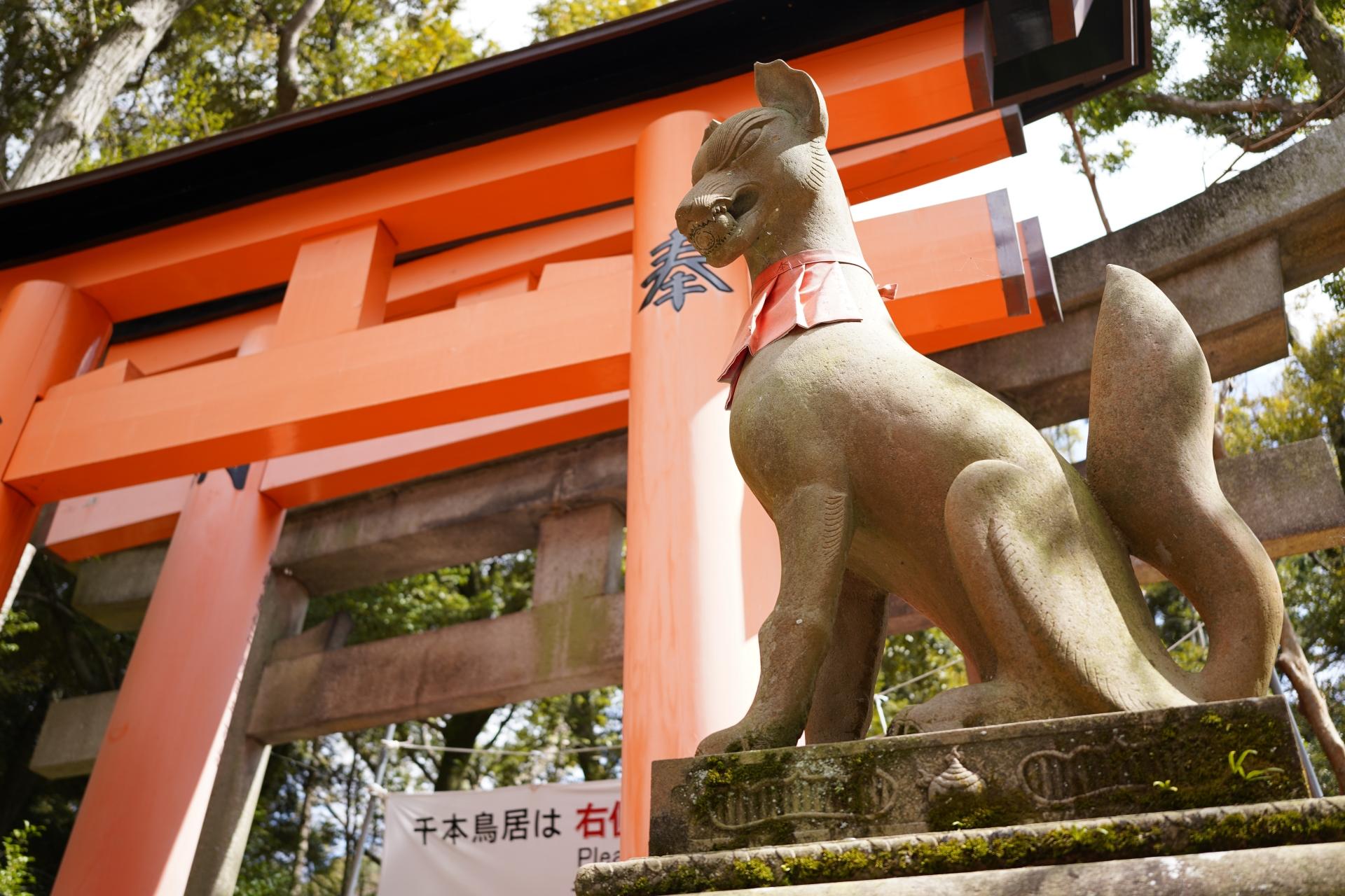 Arashiyama, Nara & Fushimi Inari Day Trip from Osaka or Kyoto