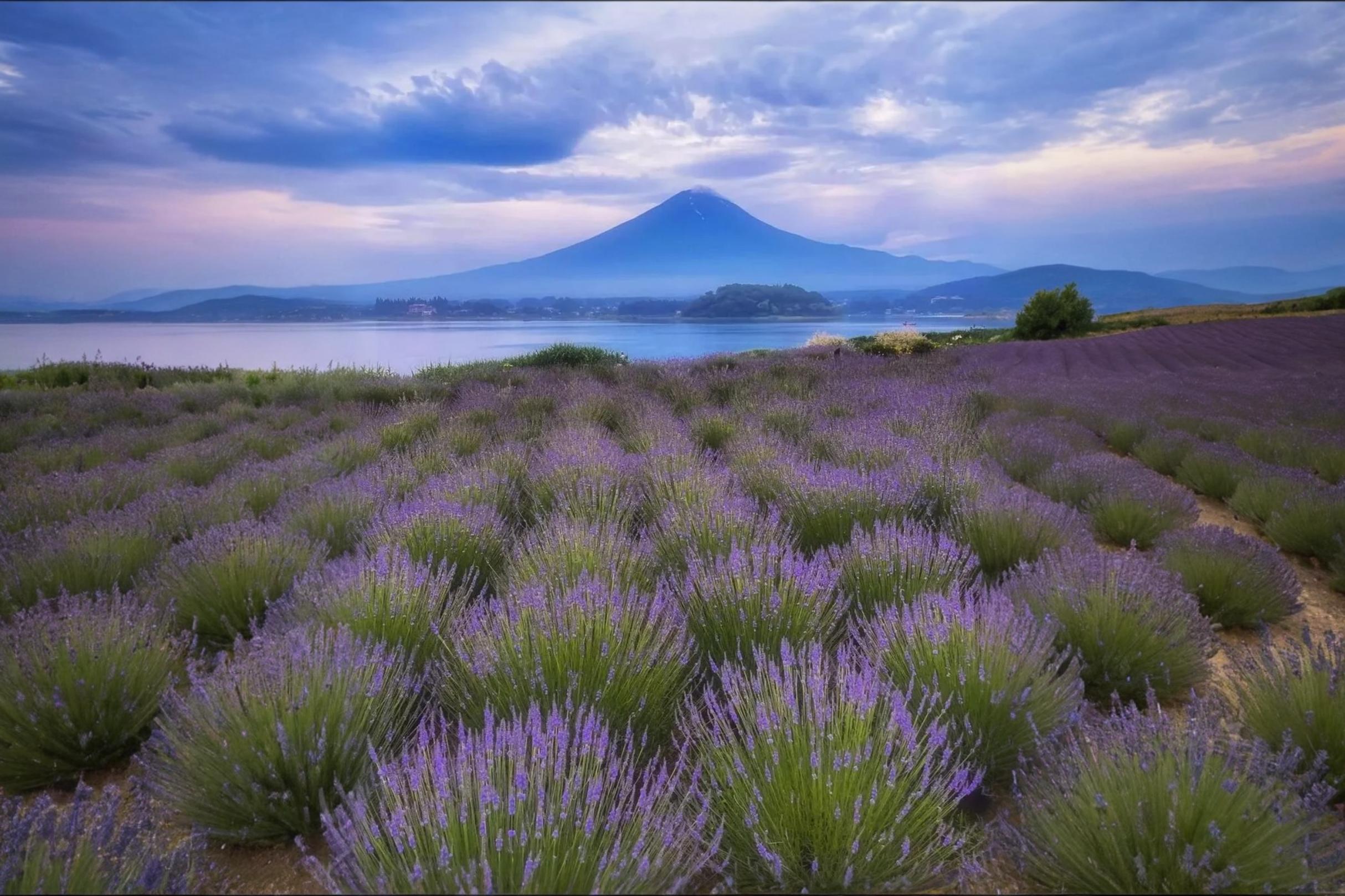 Mt Fuji, Chureito Pagoda & Lake Kawaguchi Full-Day Tour from Tokyo