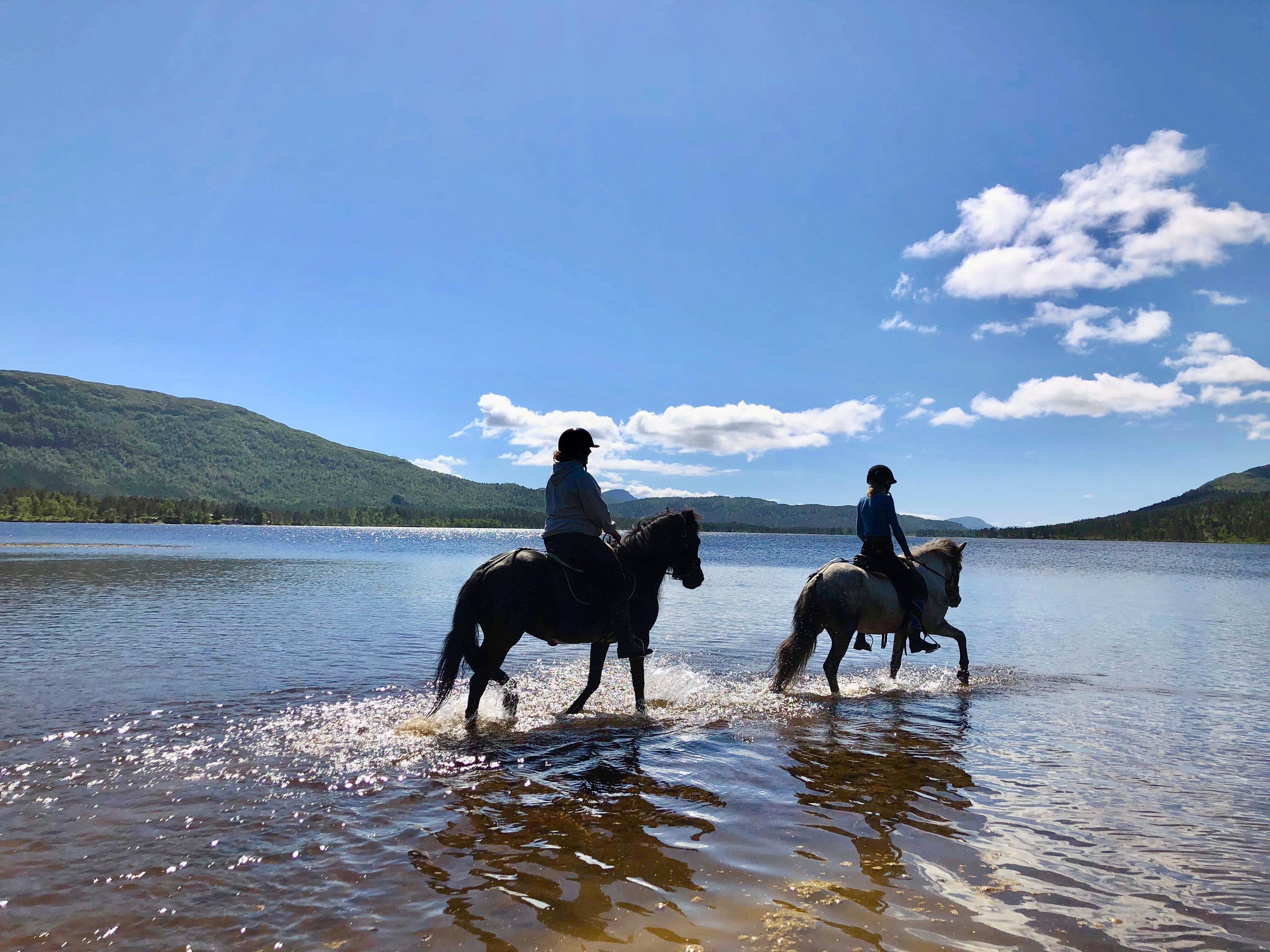 Sunnmøre Horseback Riding Adventure with Icelandic Horses