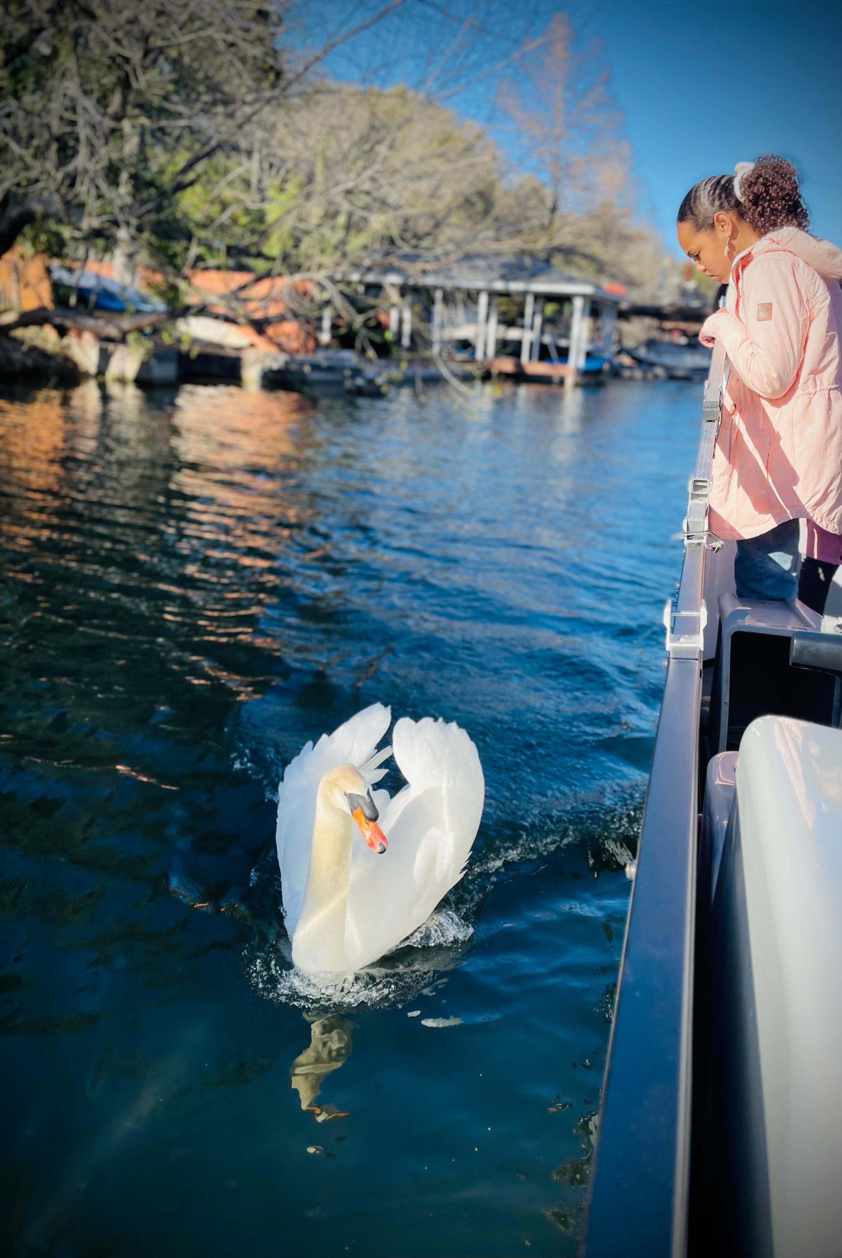 Austin: Scenic Lake Austin Guided Boat Cruise
