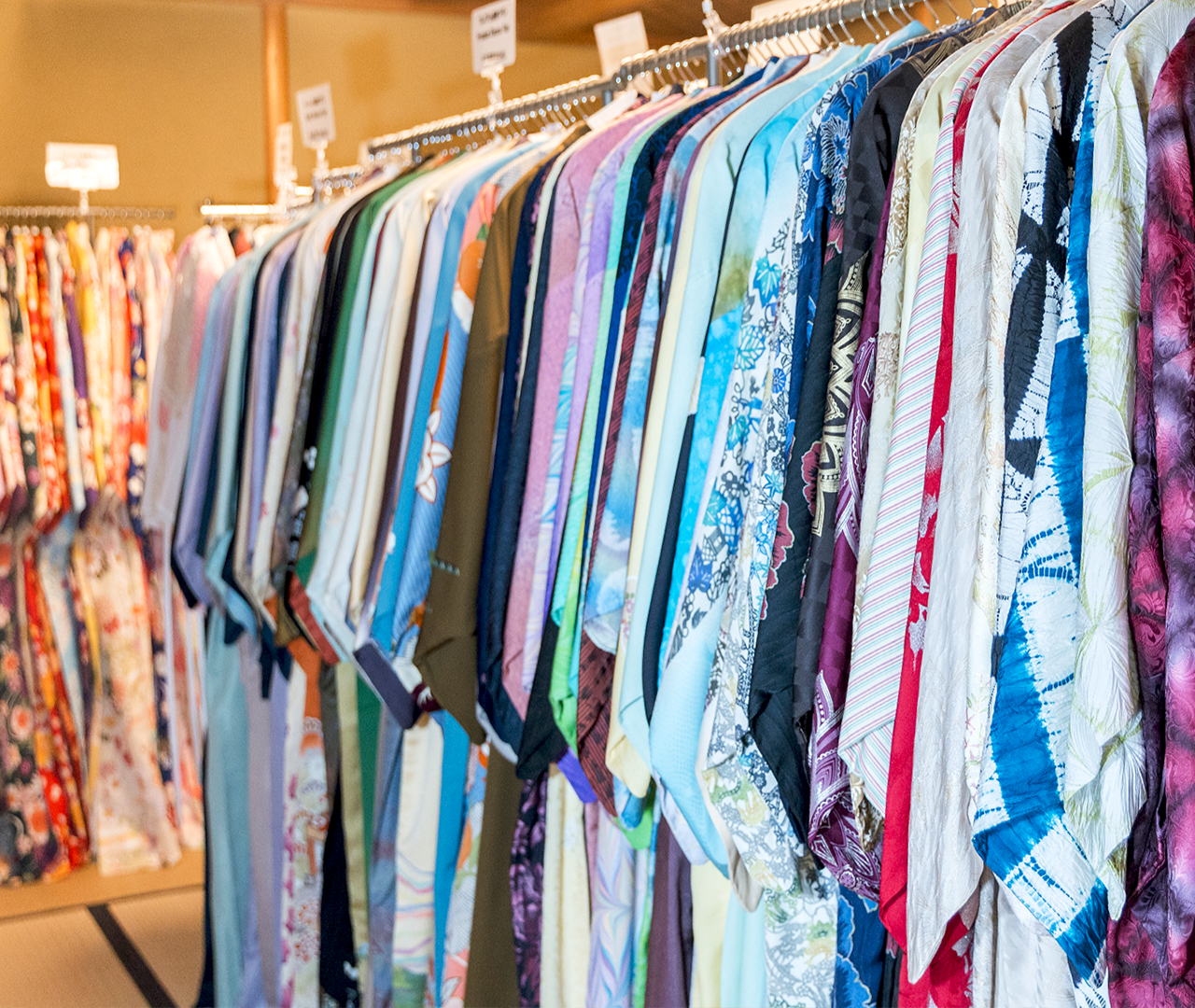 Shinjuku Gyoen Kimono Rental Experience