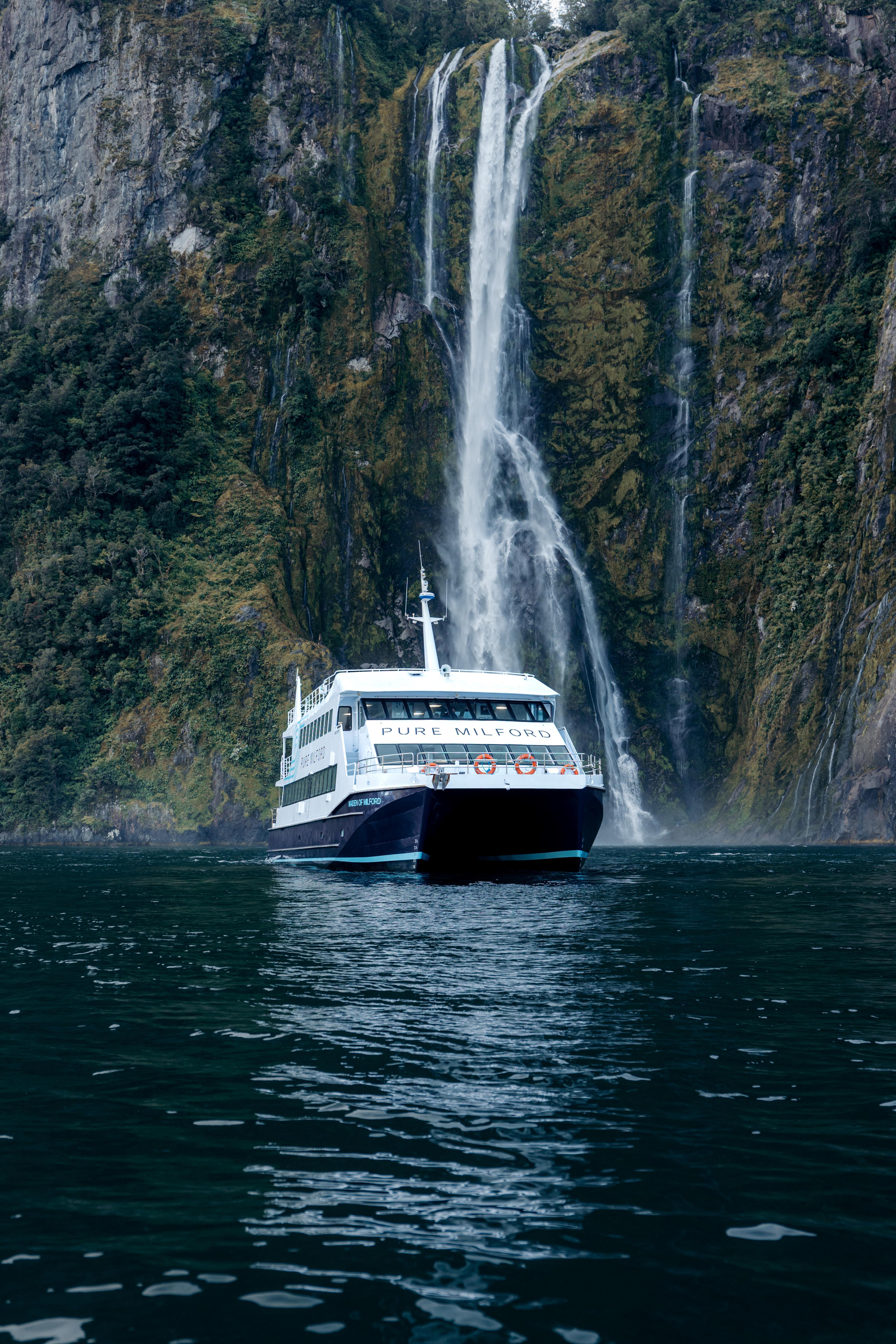 Milford Sound Scenic Cruise: Waterfalls, Wildlife & Rainforest