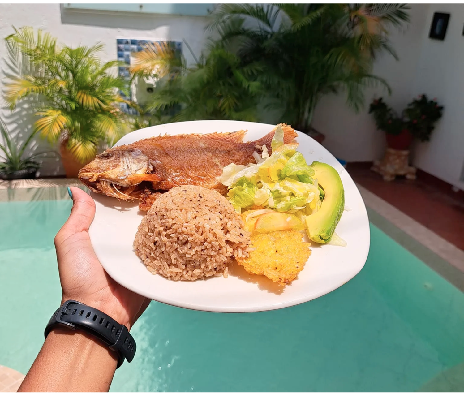 Rosario Islands Full-Day Cruise: Snorkeling, Lunch & Beach Clubs