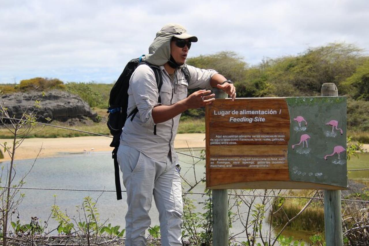 Isabela Island & Tintorera Islet Expedition from Puerto Ayora
