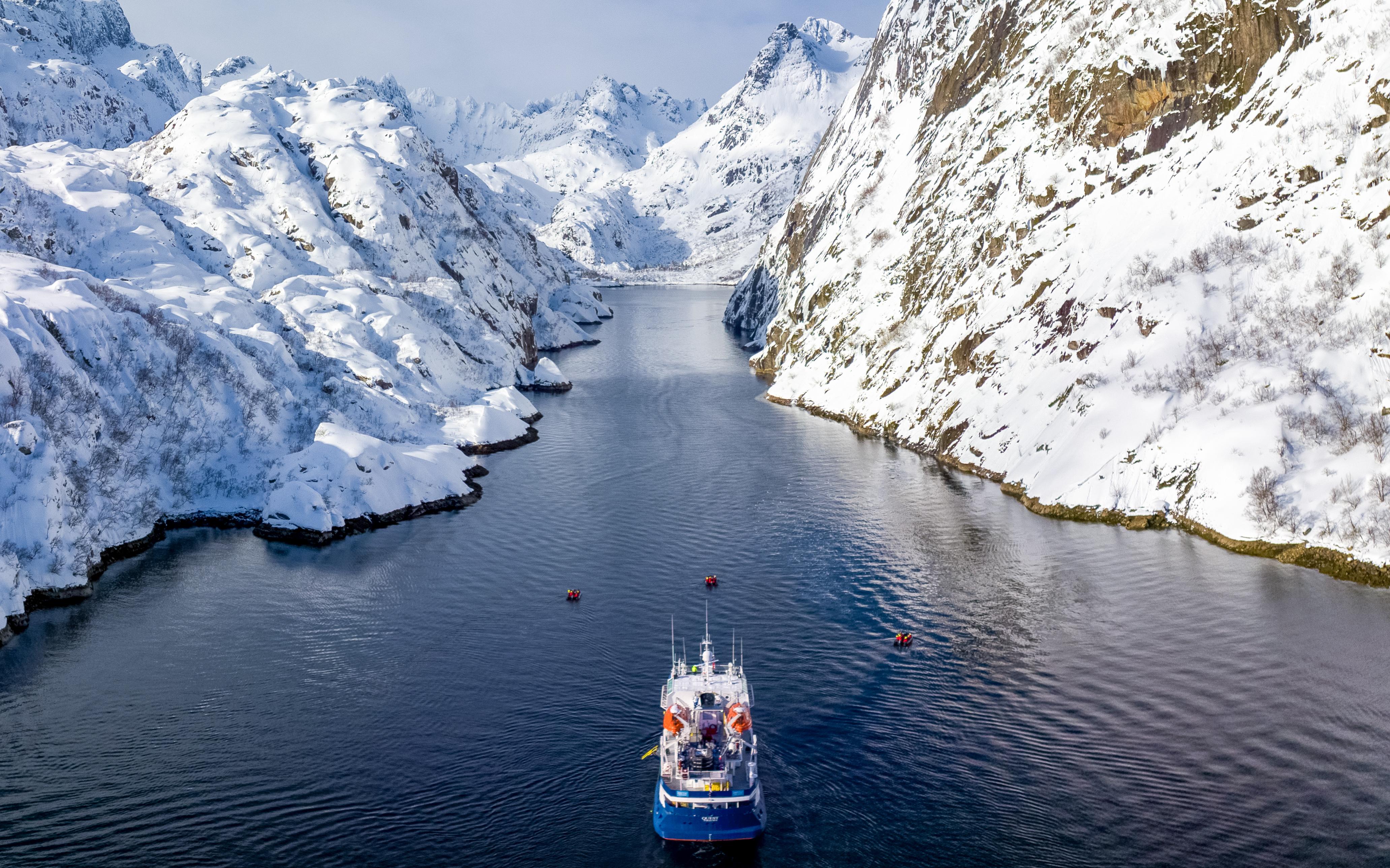 Tromsø: Whale Expedition | 99% success rate | All-Inclusive