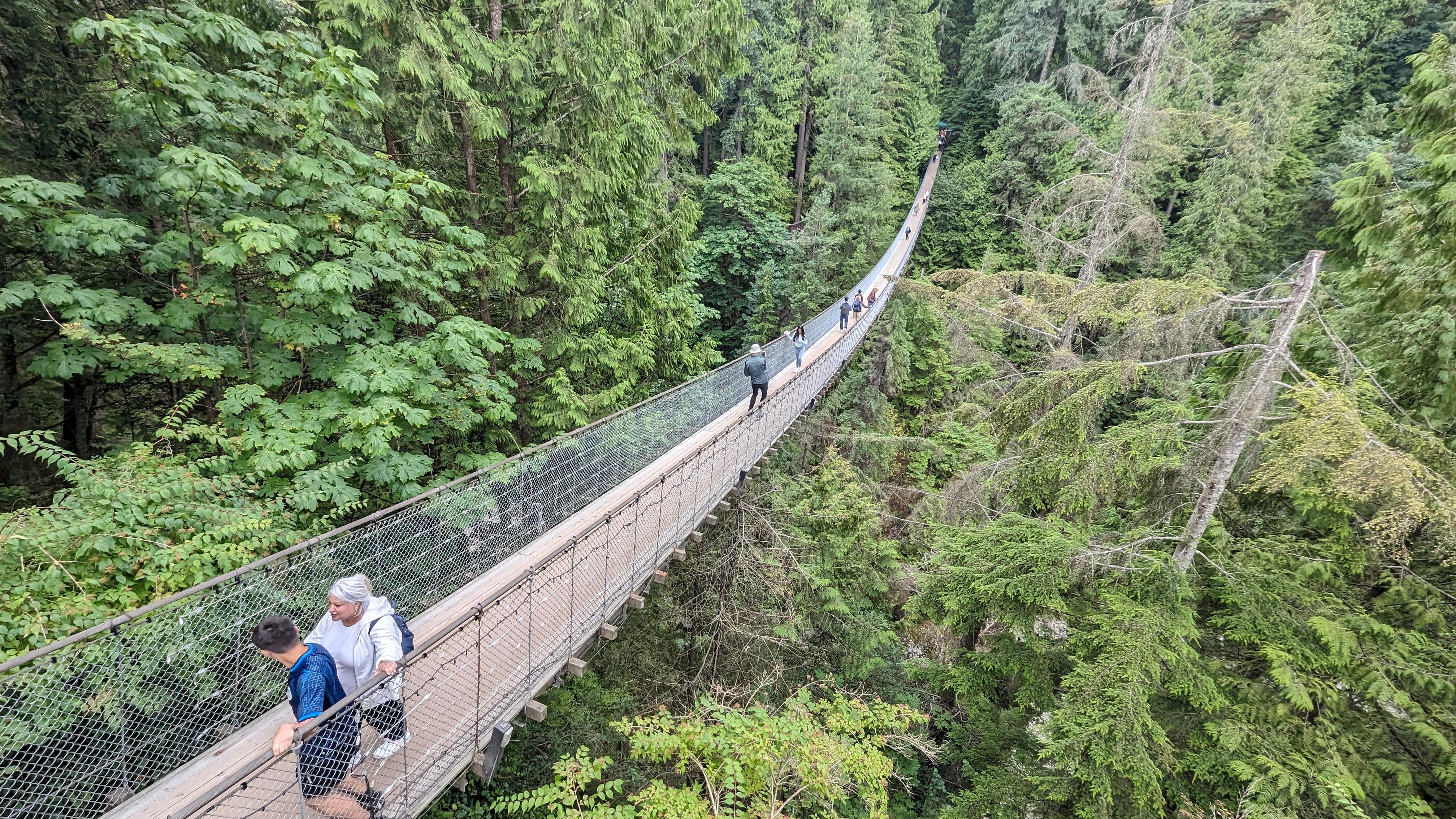 Vancouver North Shore & Capilano Canyon Lights Explorer