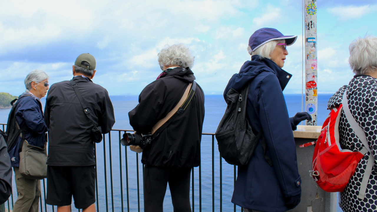 Amalfi Coast, Positano & Sorrento Day Tour from Naples
