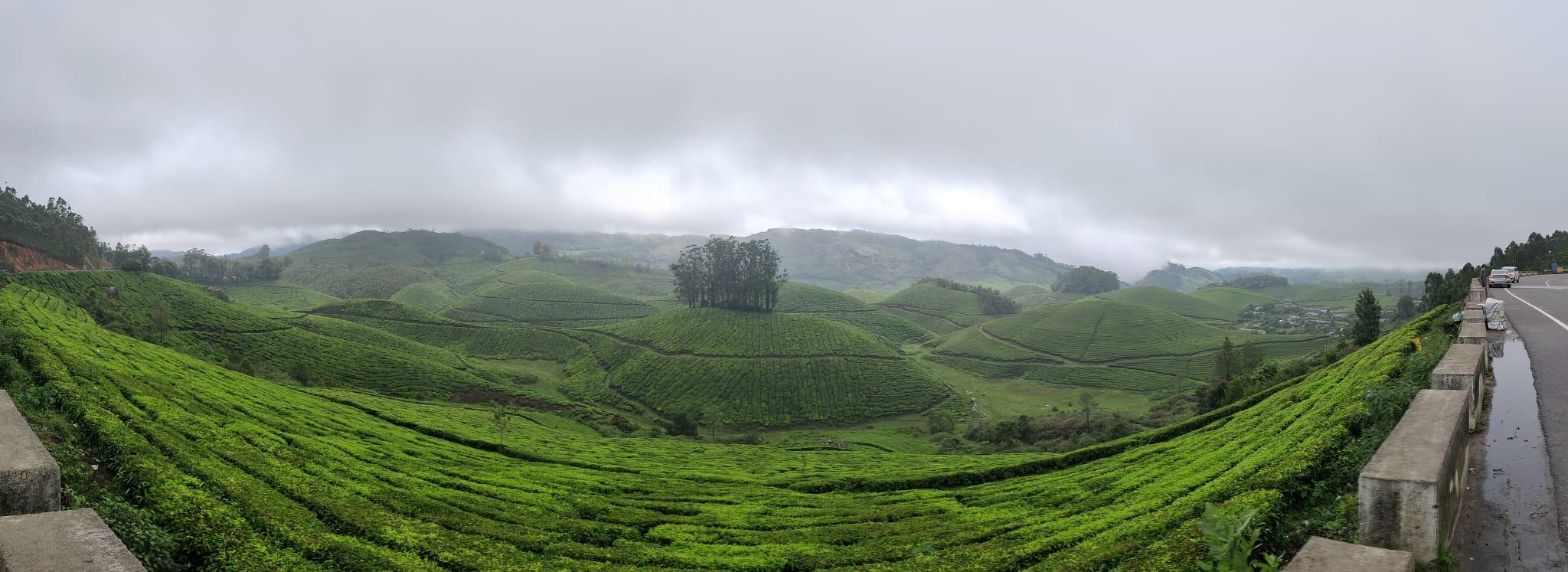 5-Day Kerala Escape: Munnar Hills, Thekkady Wildlife & Alleppey Houseboat
