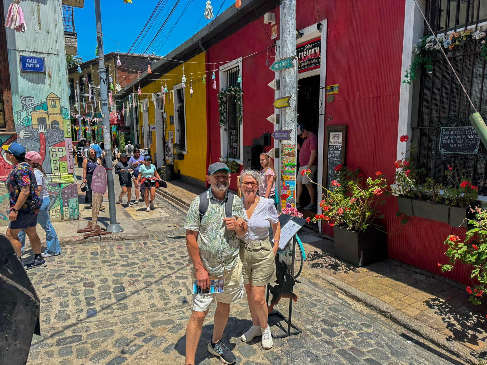 Valparaíso wine tour, the Casablanca Valley and Valparaíso's hills — image 47
