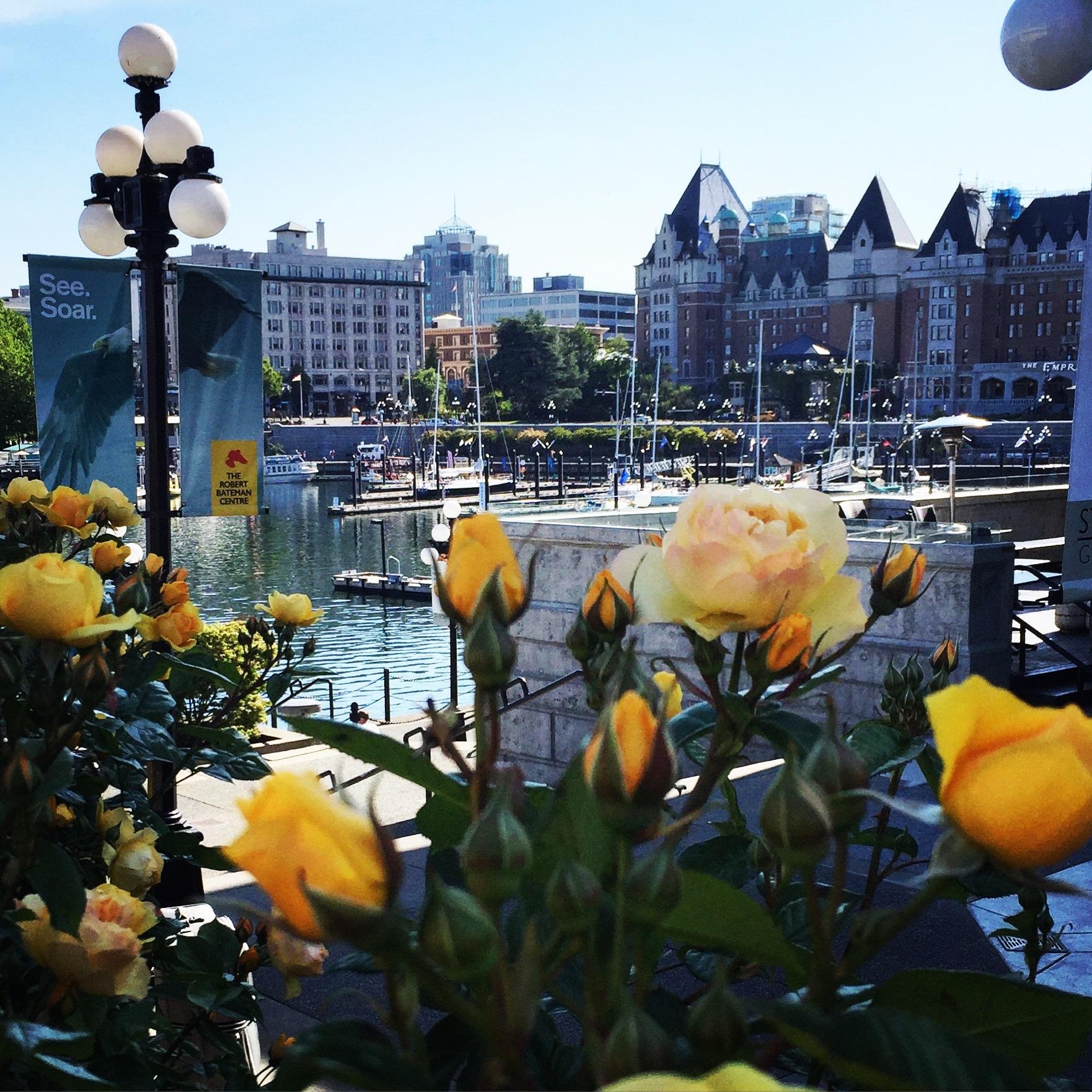 Victoria City Highlights & Butchart Gardens Guided Combo