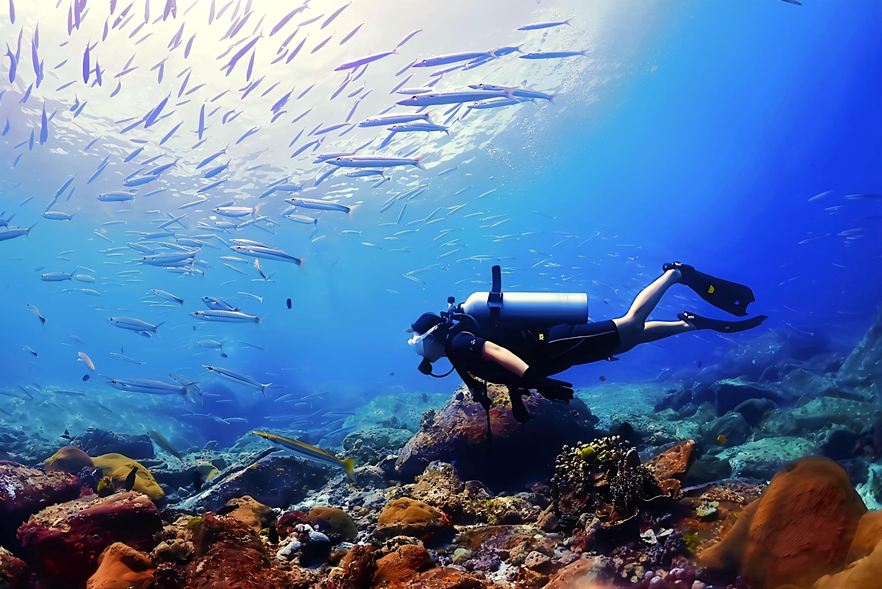 Phuket: Racha & Maiton Islands Scuba Diving for All Levels