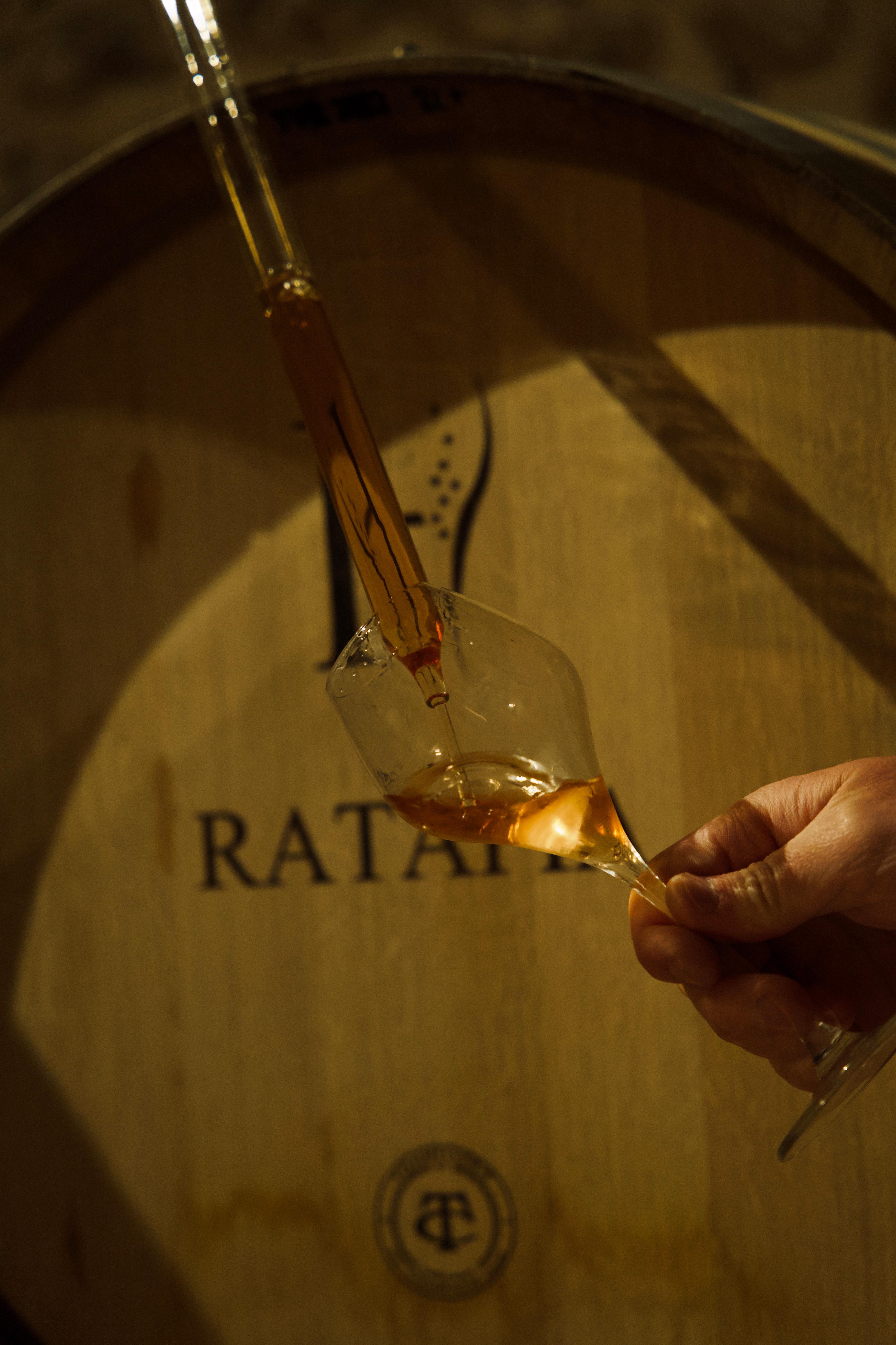 Champagne Cellar Experience: Explore our historic cellars