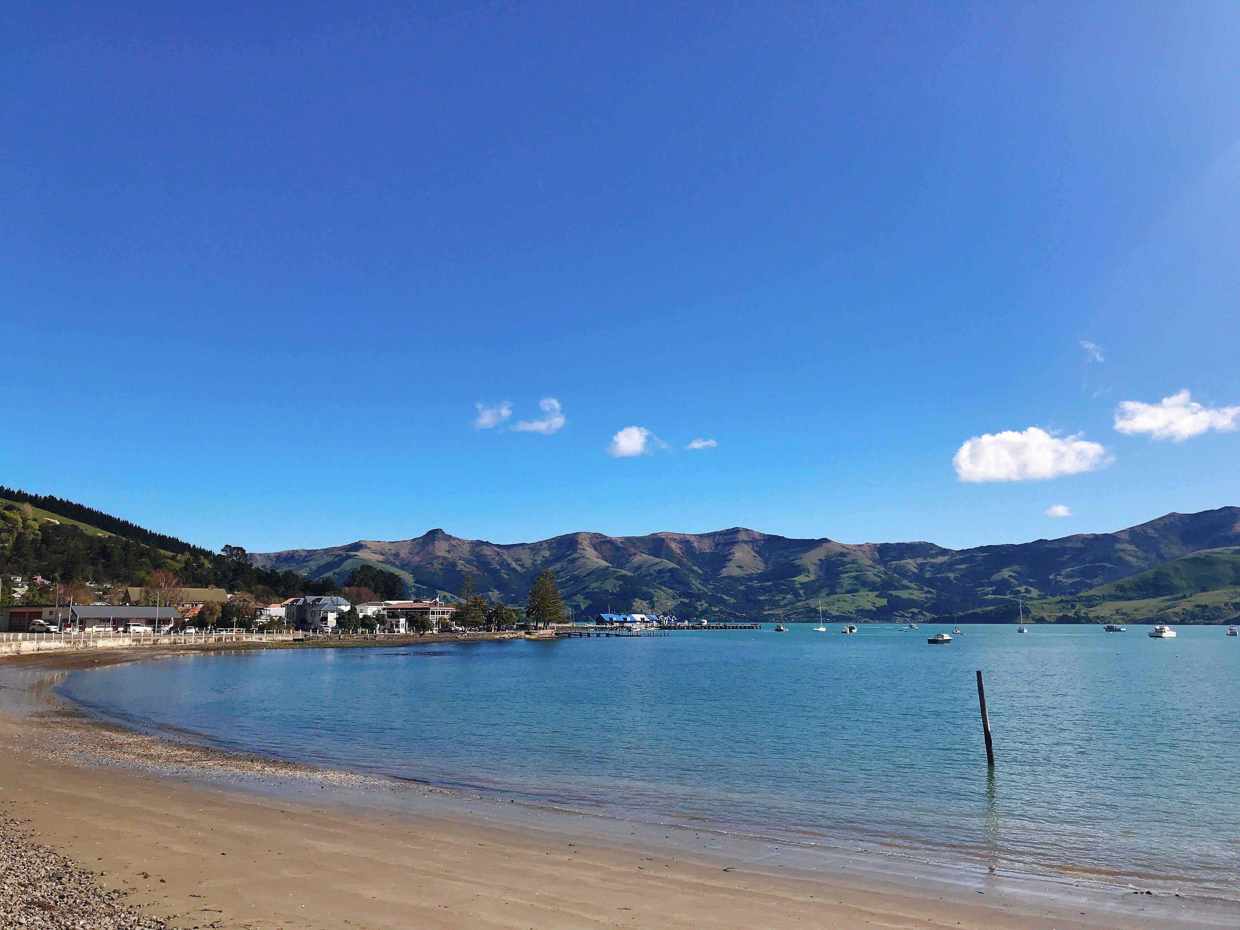 Christchurch to Akaroa Private Luxury Day Tour
